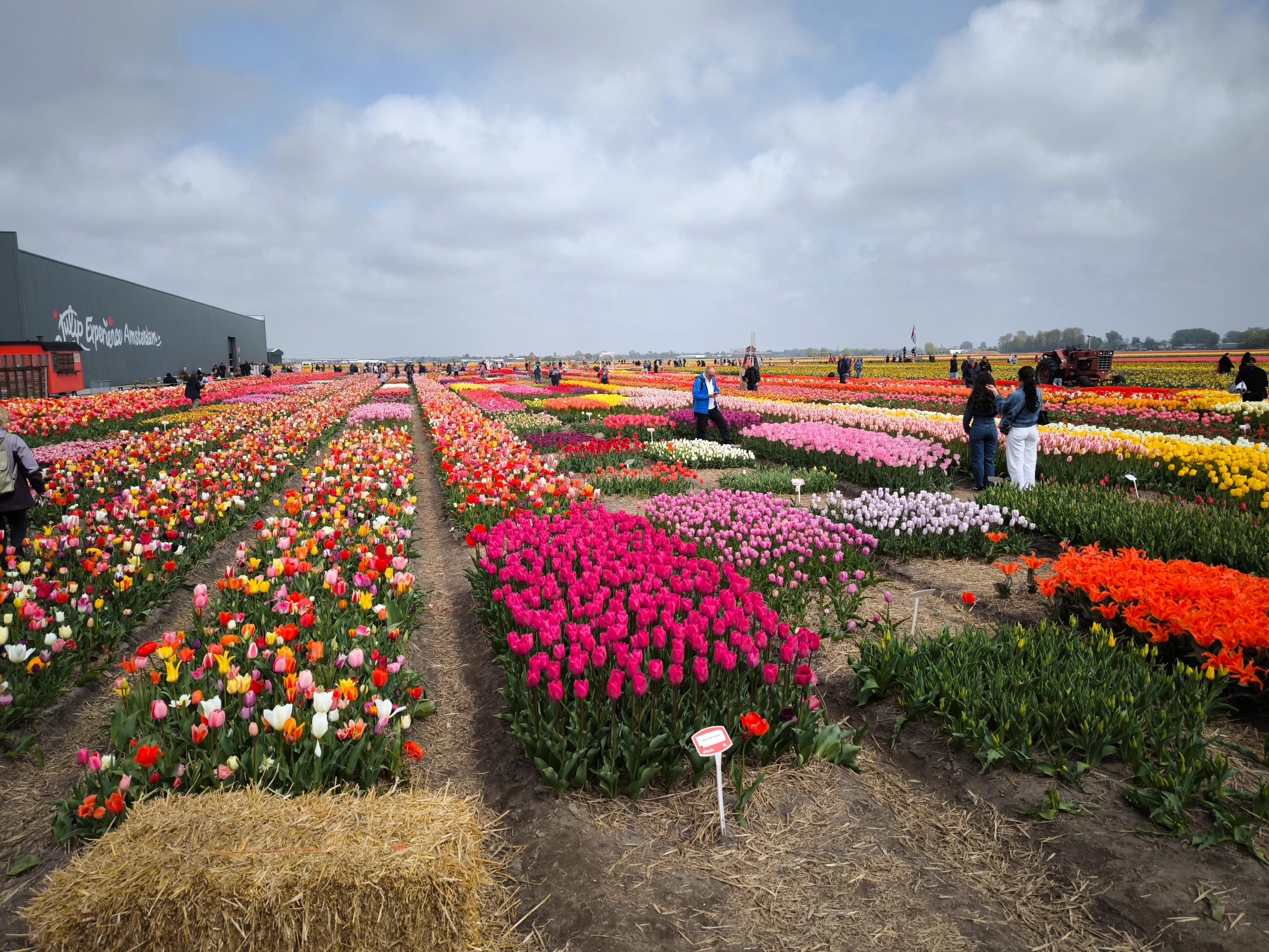 IMG_20250422_140529.webp