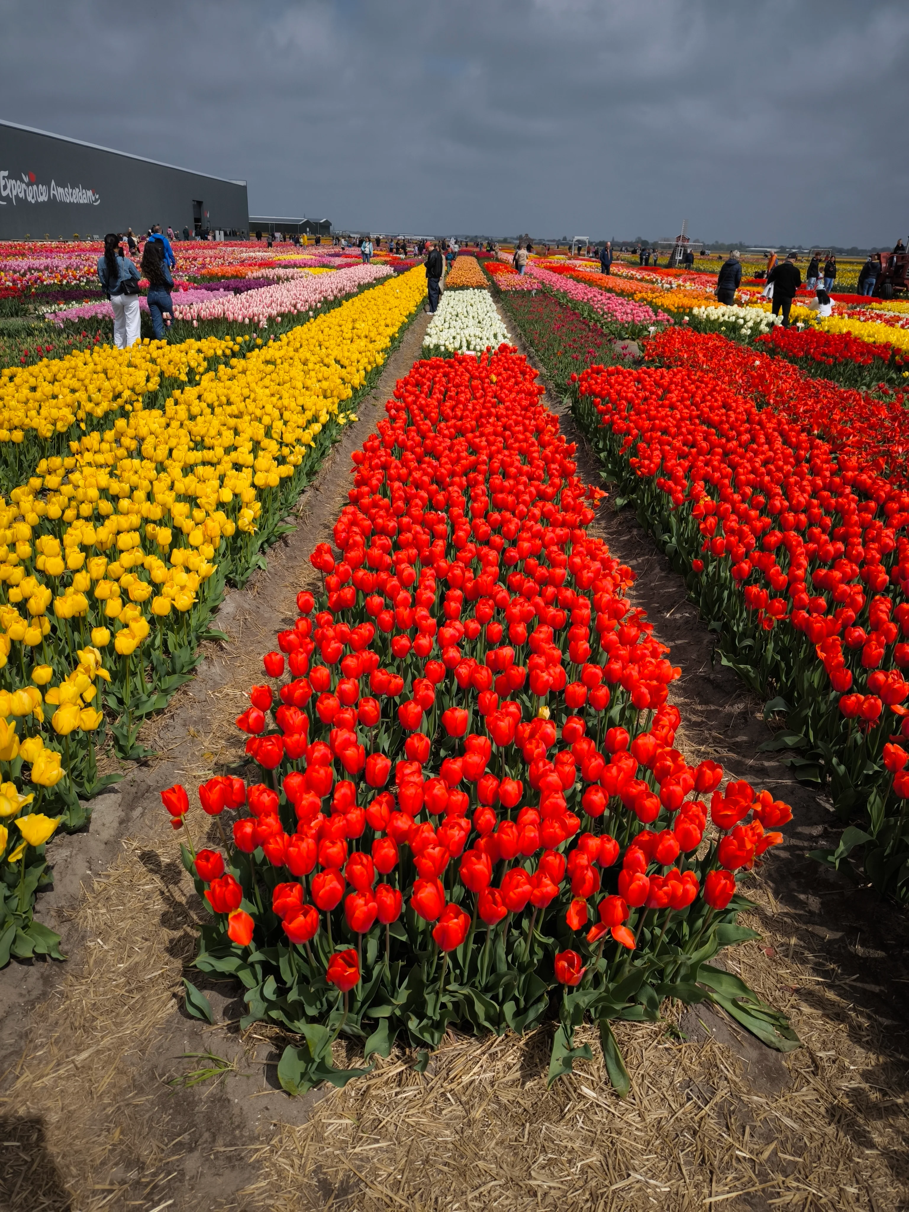 IMG_20250422_140556.webp