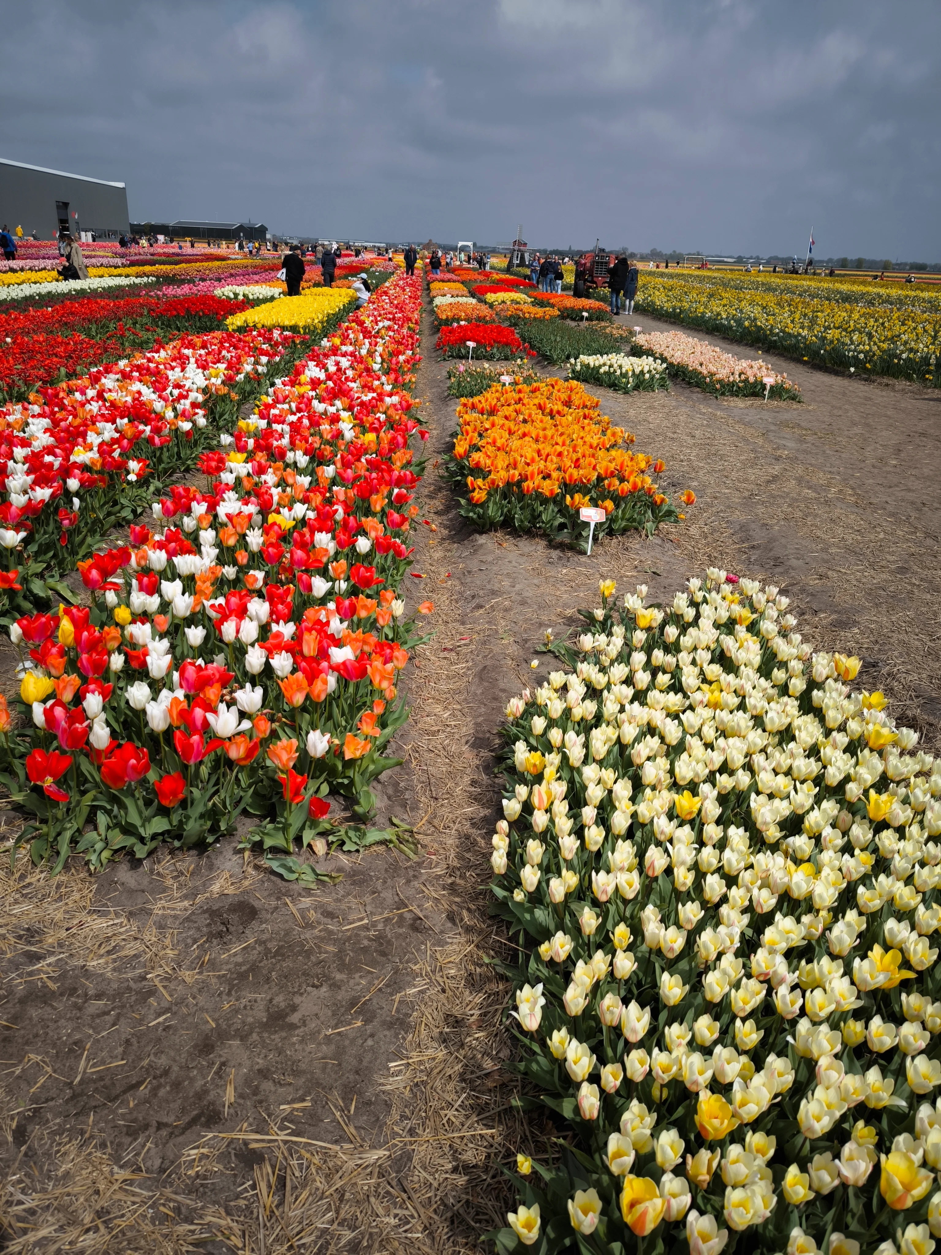 IMG_20250422_140617.webp