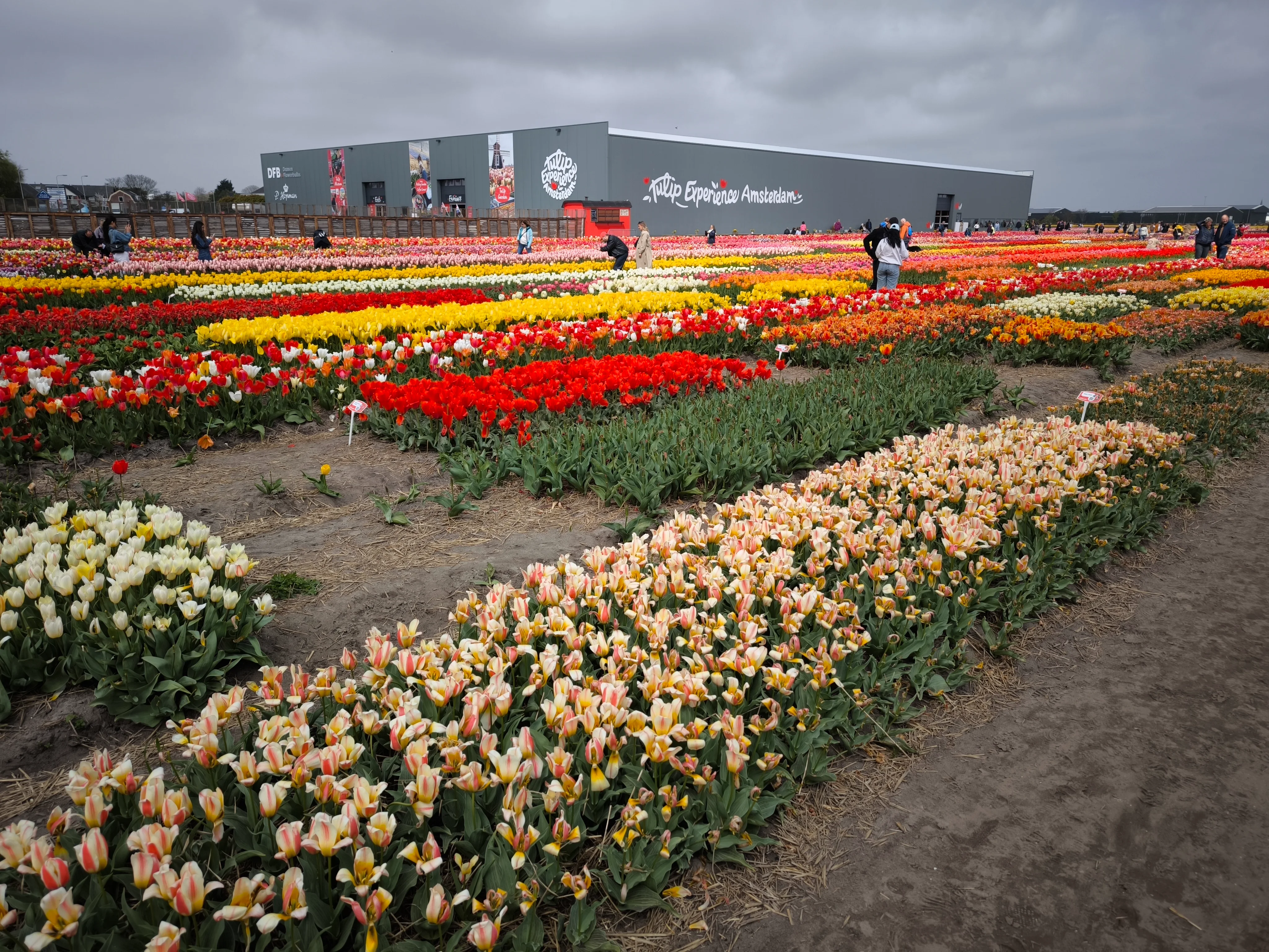 IMG_20250422_140641.webp