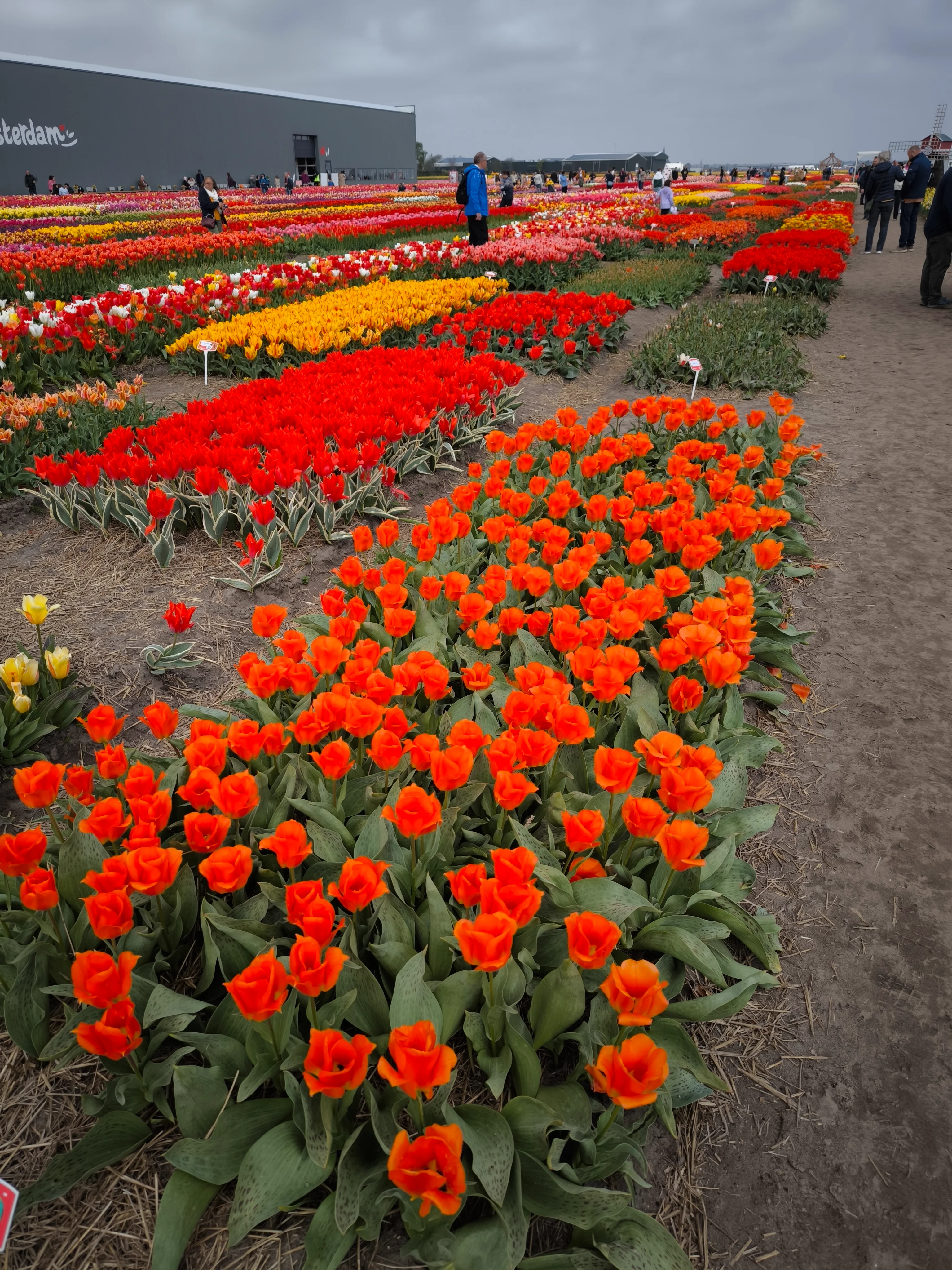 IMG_20250422_140715.webp