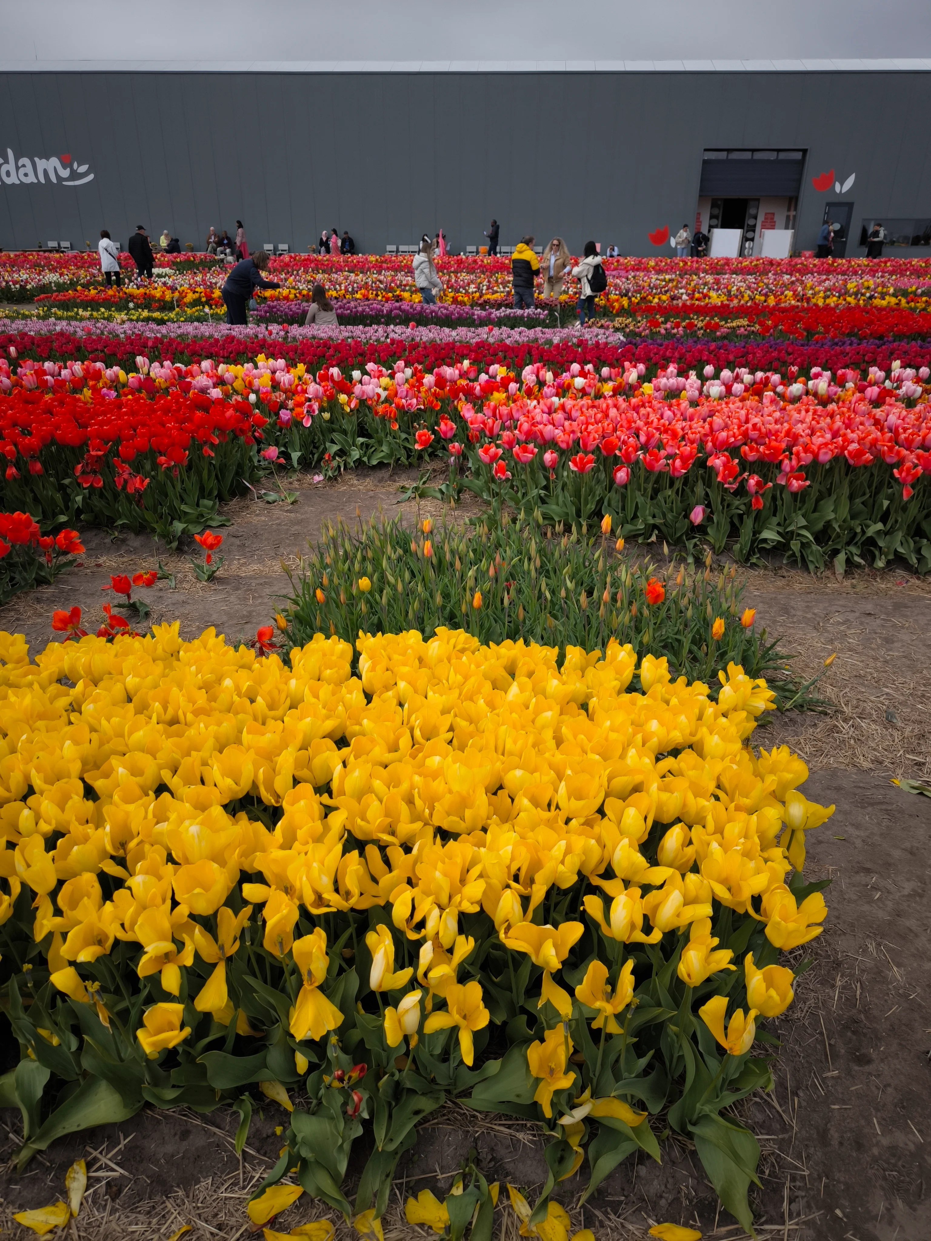 IMG_20250422_141052.webp