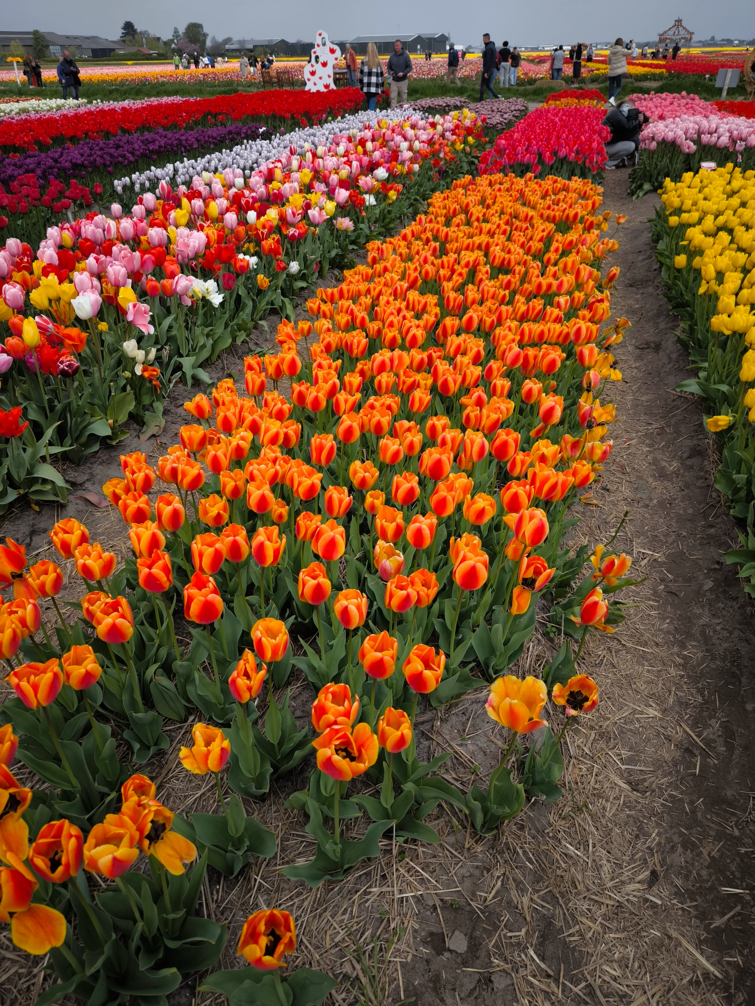 IMG_20250422_141110.webp