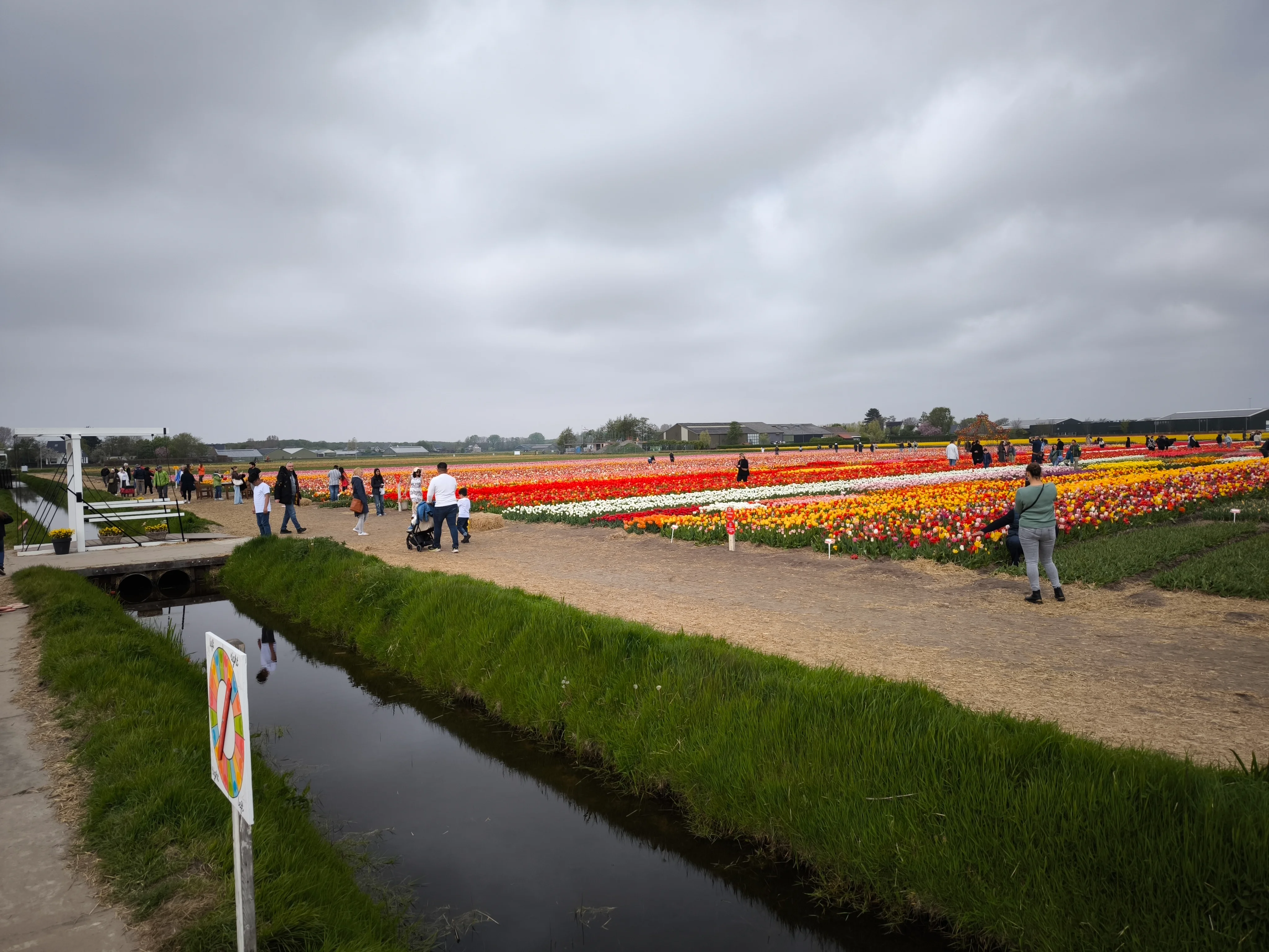 IMG_20250422_141236.webp