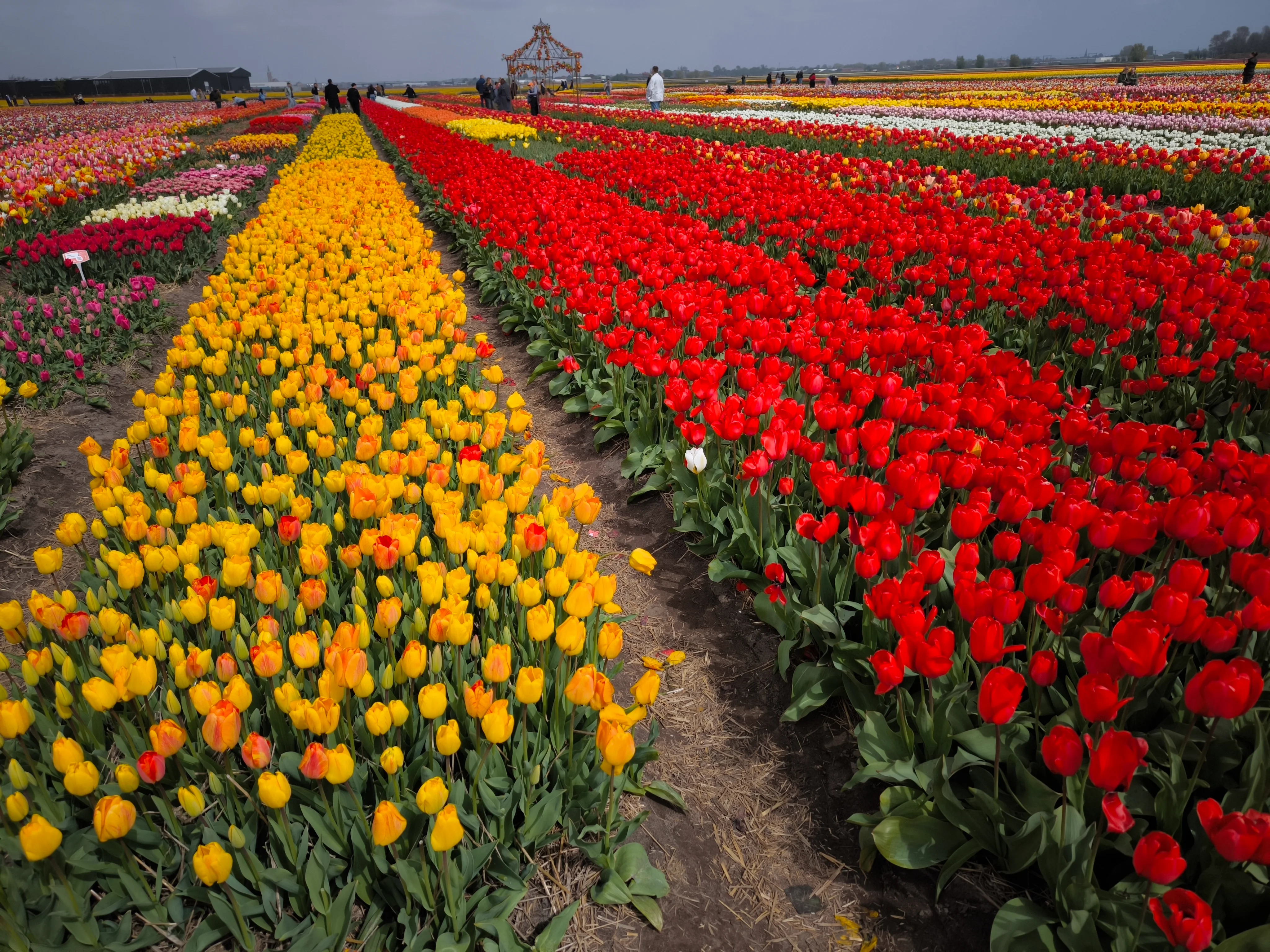 IMG_20250422_141324.webp