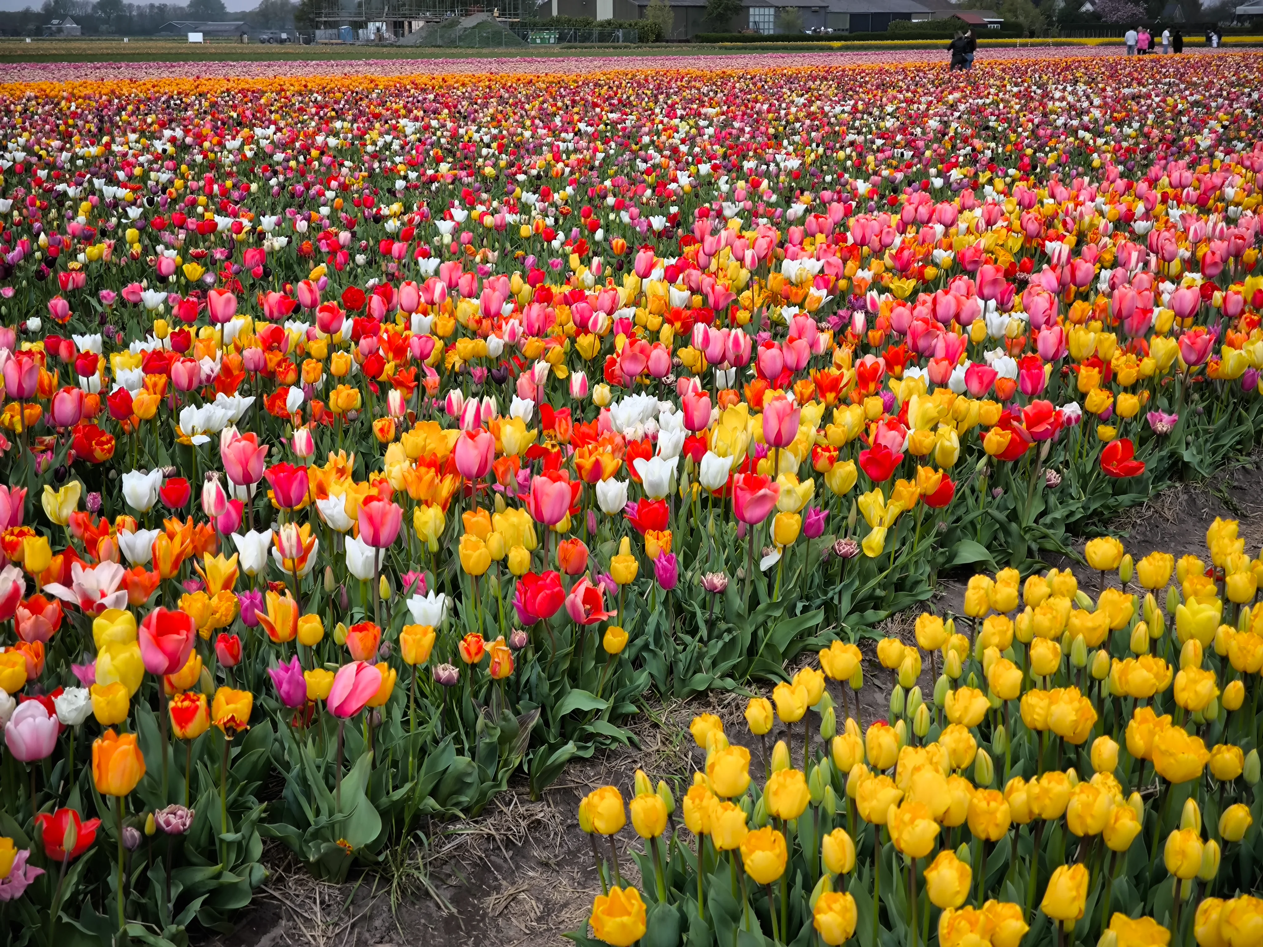 IMG_20250422_141337.webp
