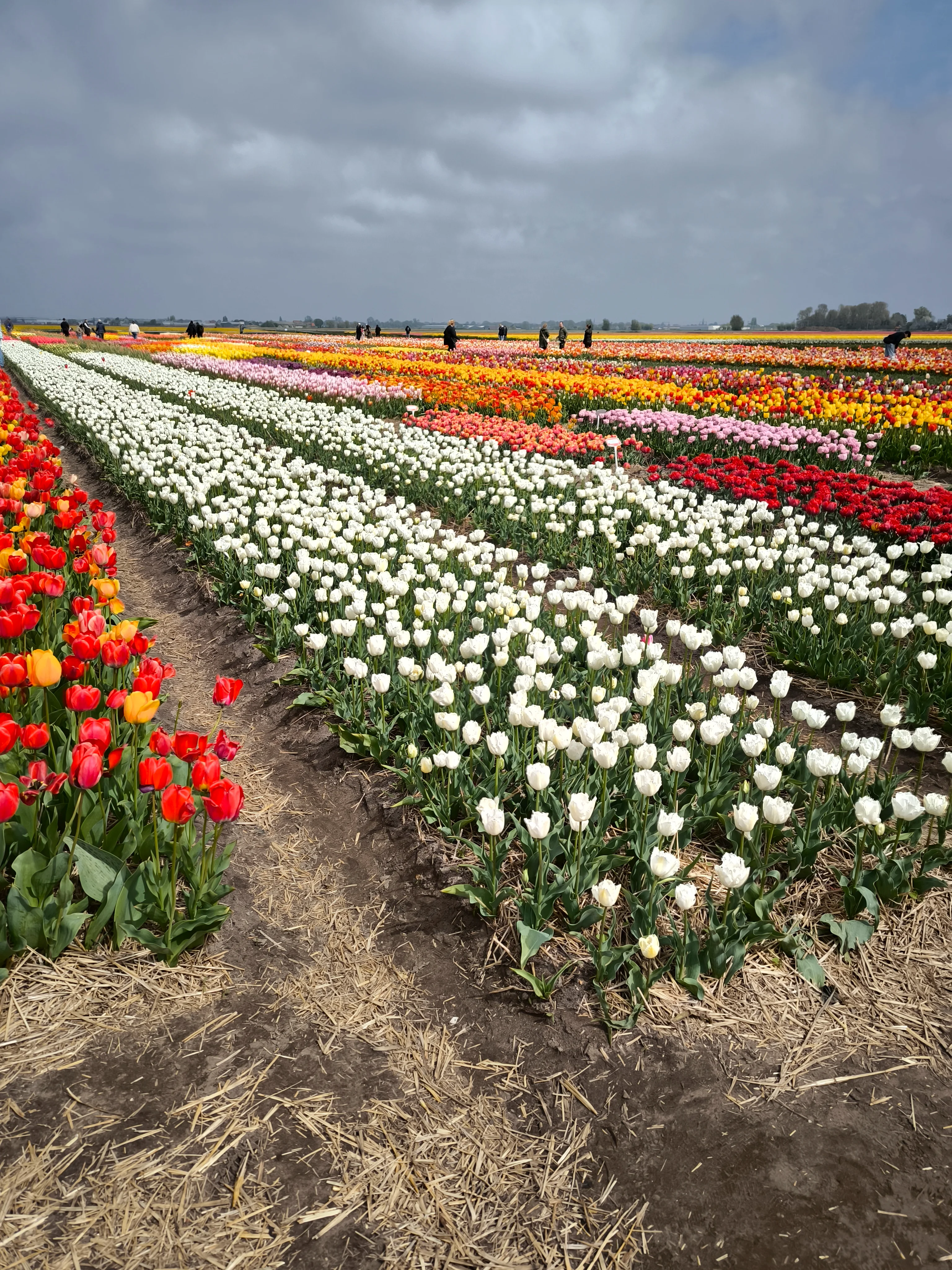 IMG_20250422_141409.webp