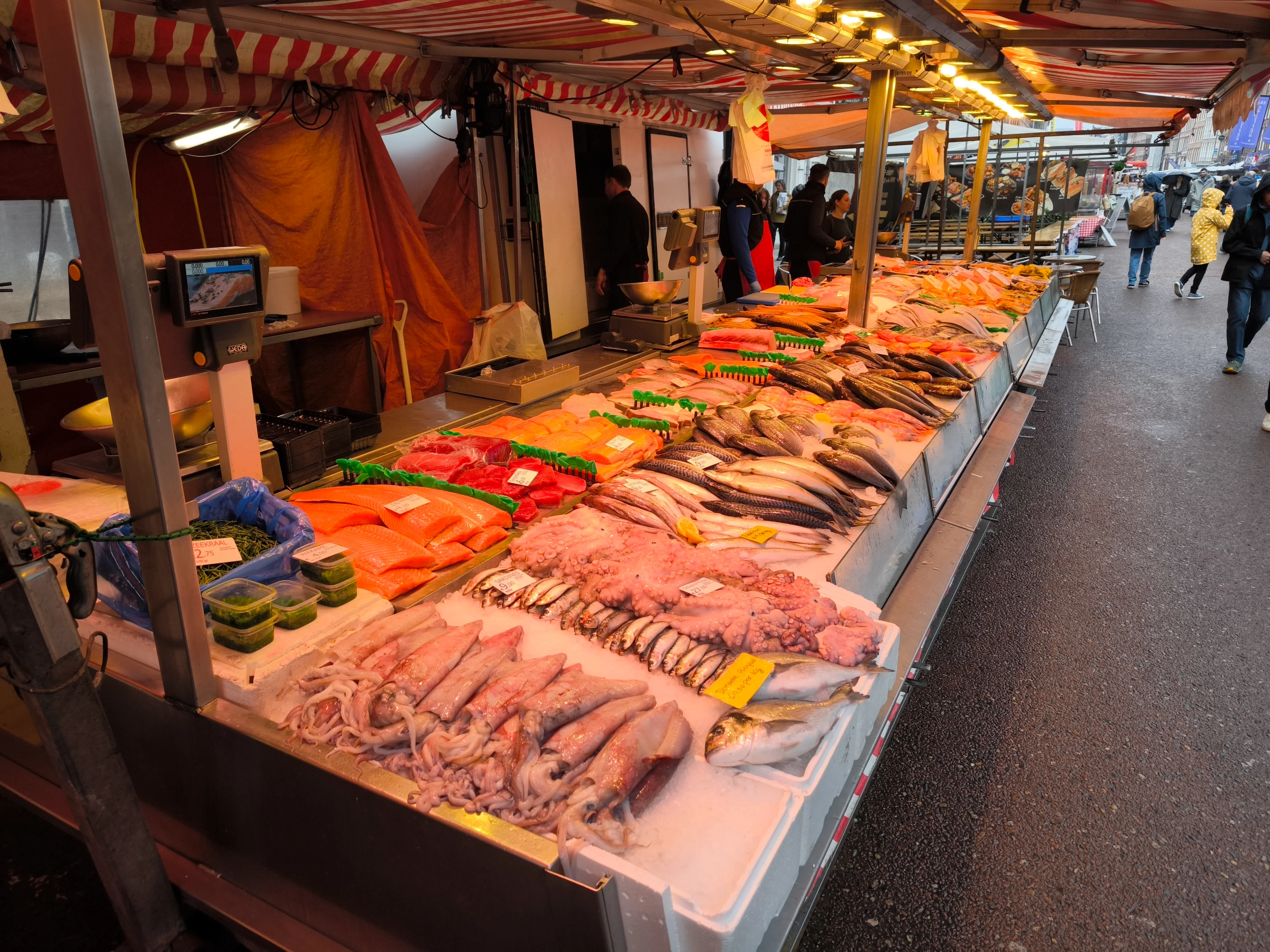 IMG_20250424_120442.webp