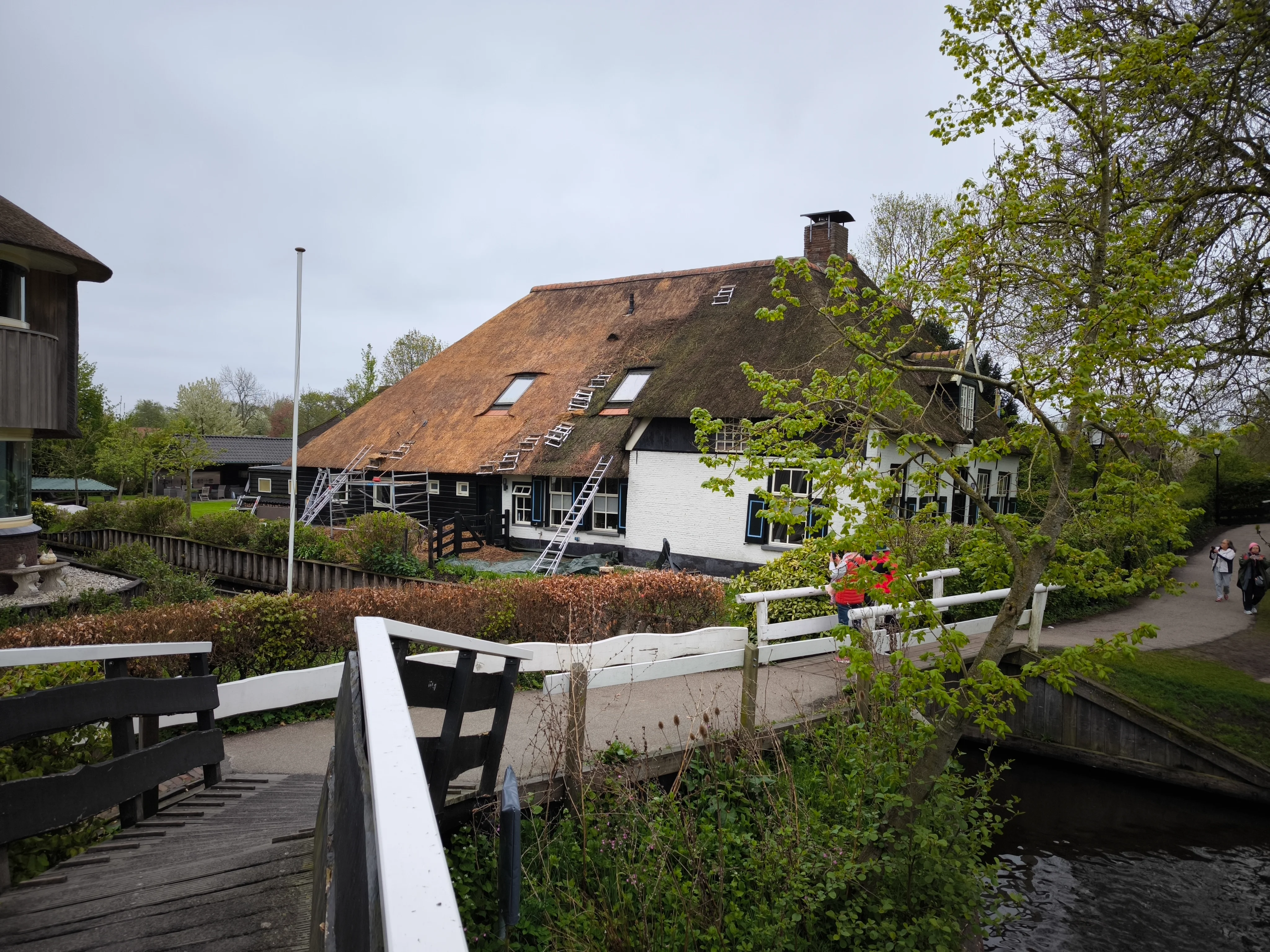 IMG_20250425_101251.webp