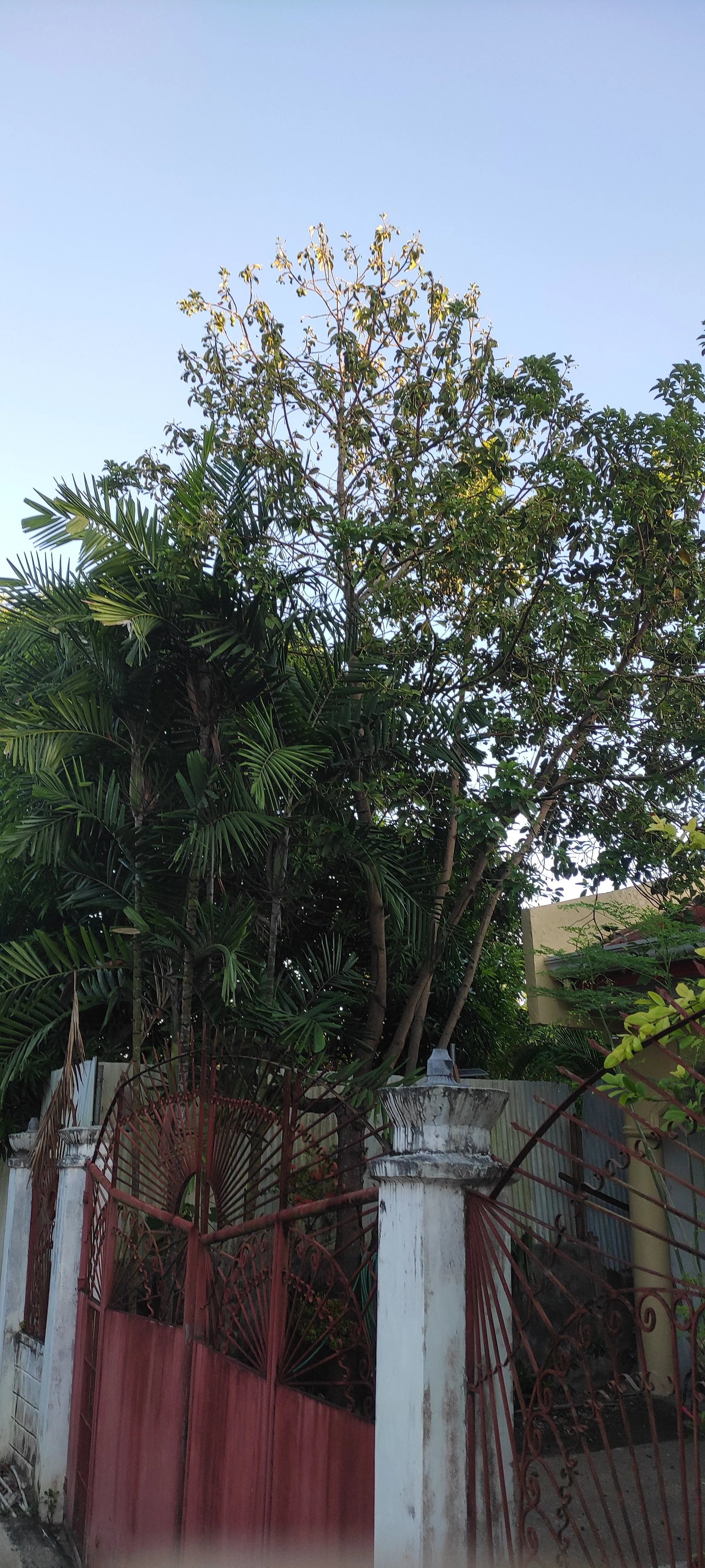 IMG_20250429_055115.webp