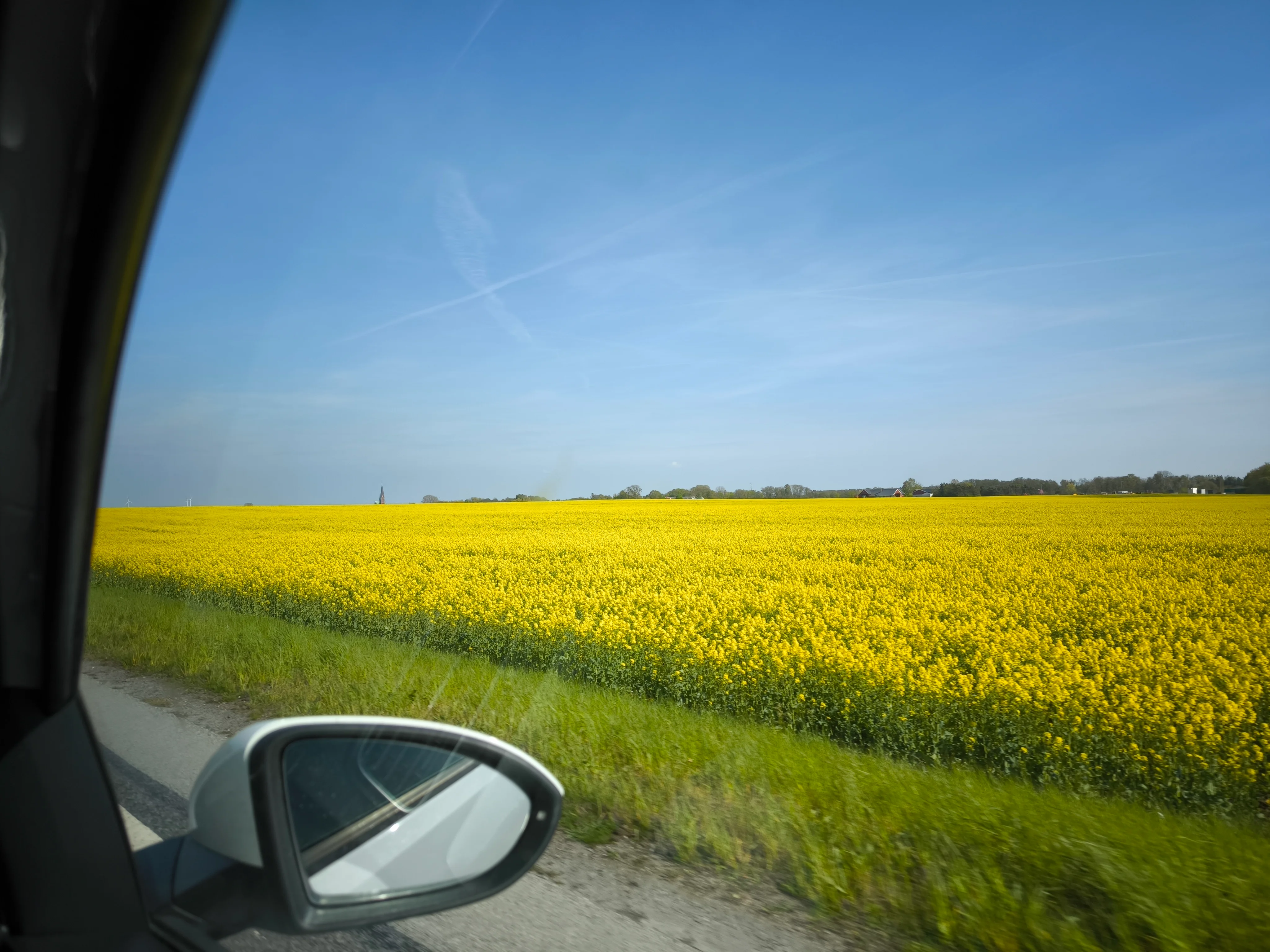 IMG_20250501_154149.webp