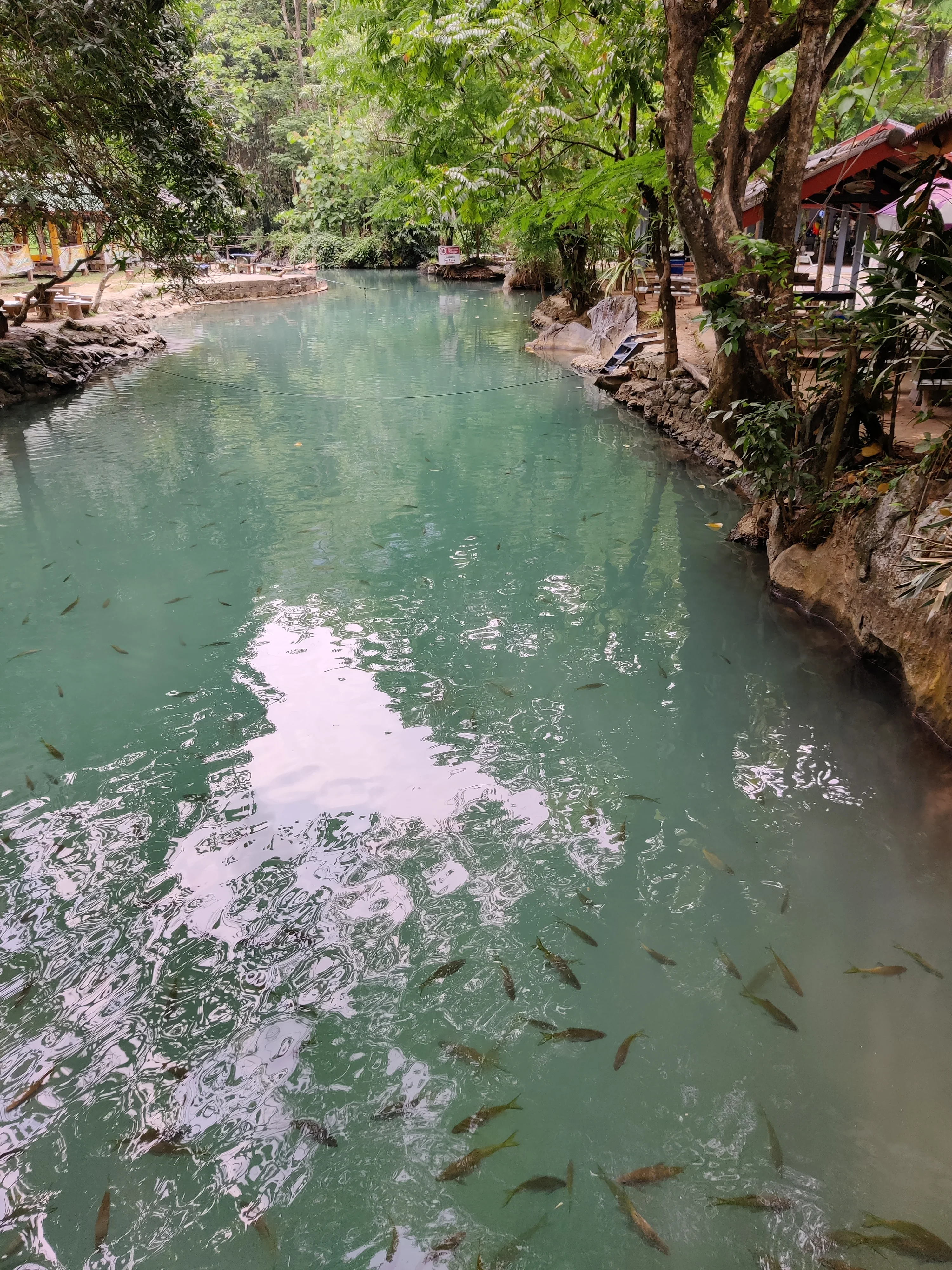 IMG_20250507_104701.webp