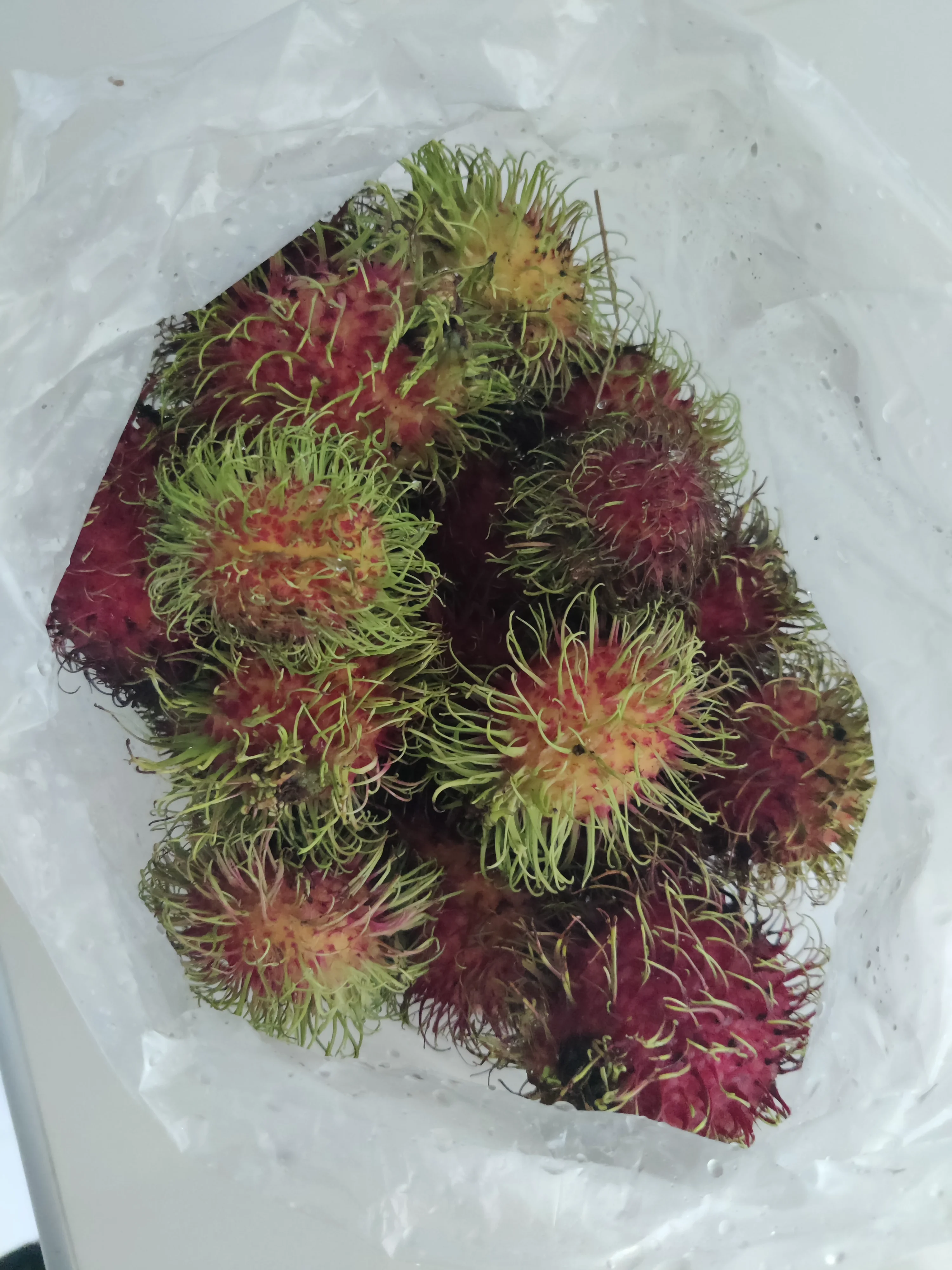 IMG_20250510_104327.webp