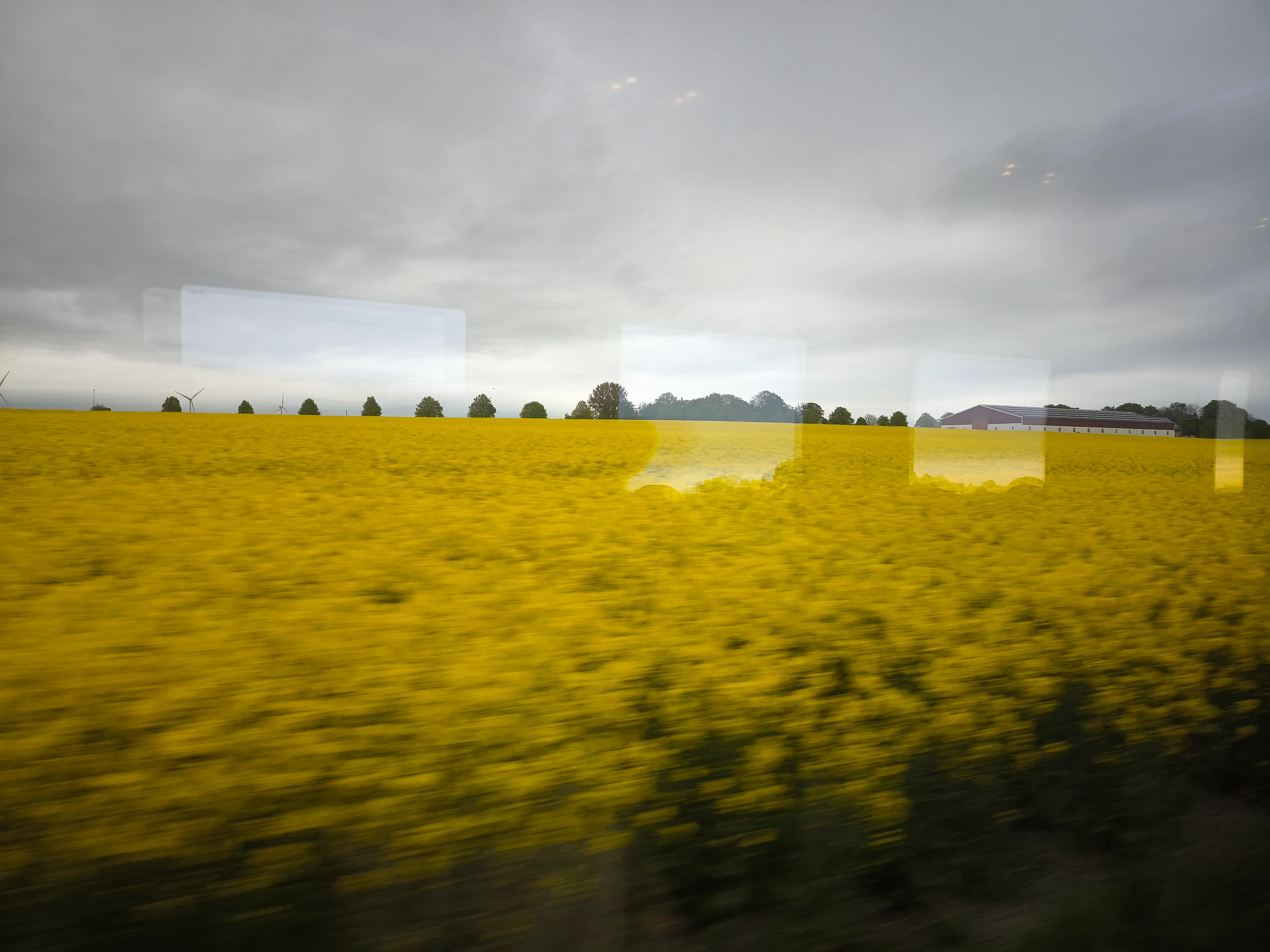 IMG_20250512_075714.webp