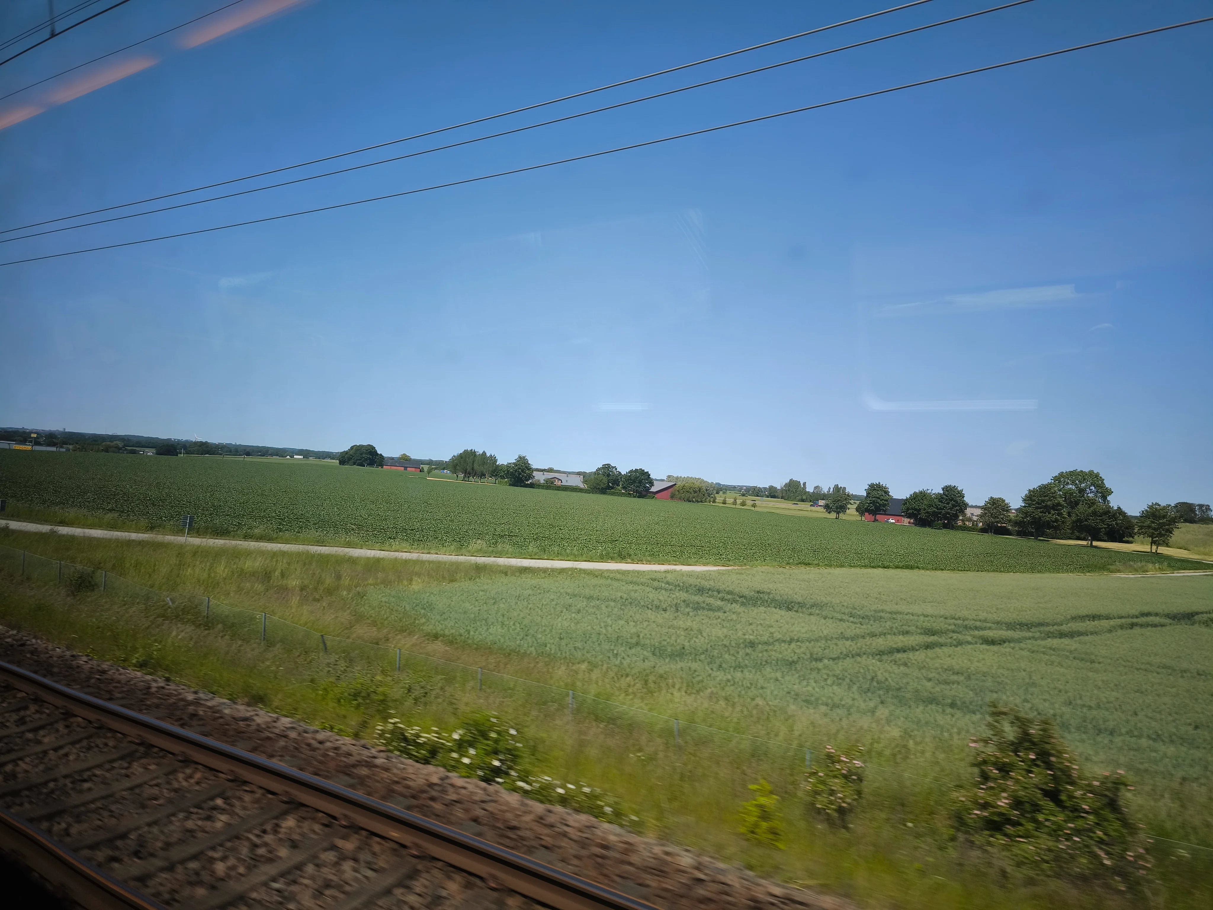 IMG_20250613_141328.webp
