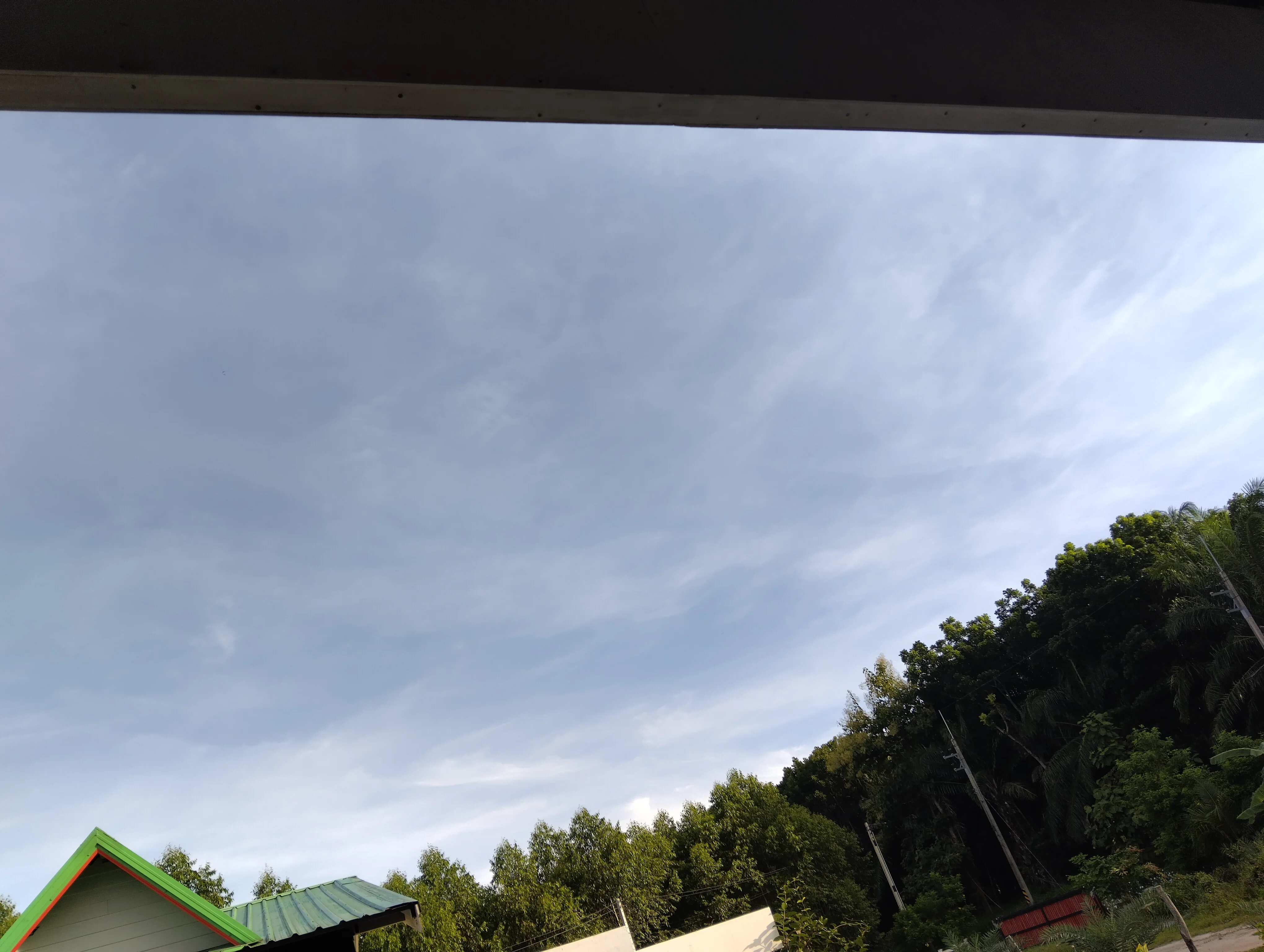 IMG_20250617_070516.webp