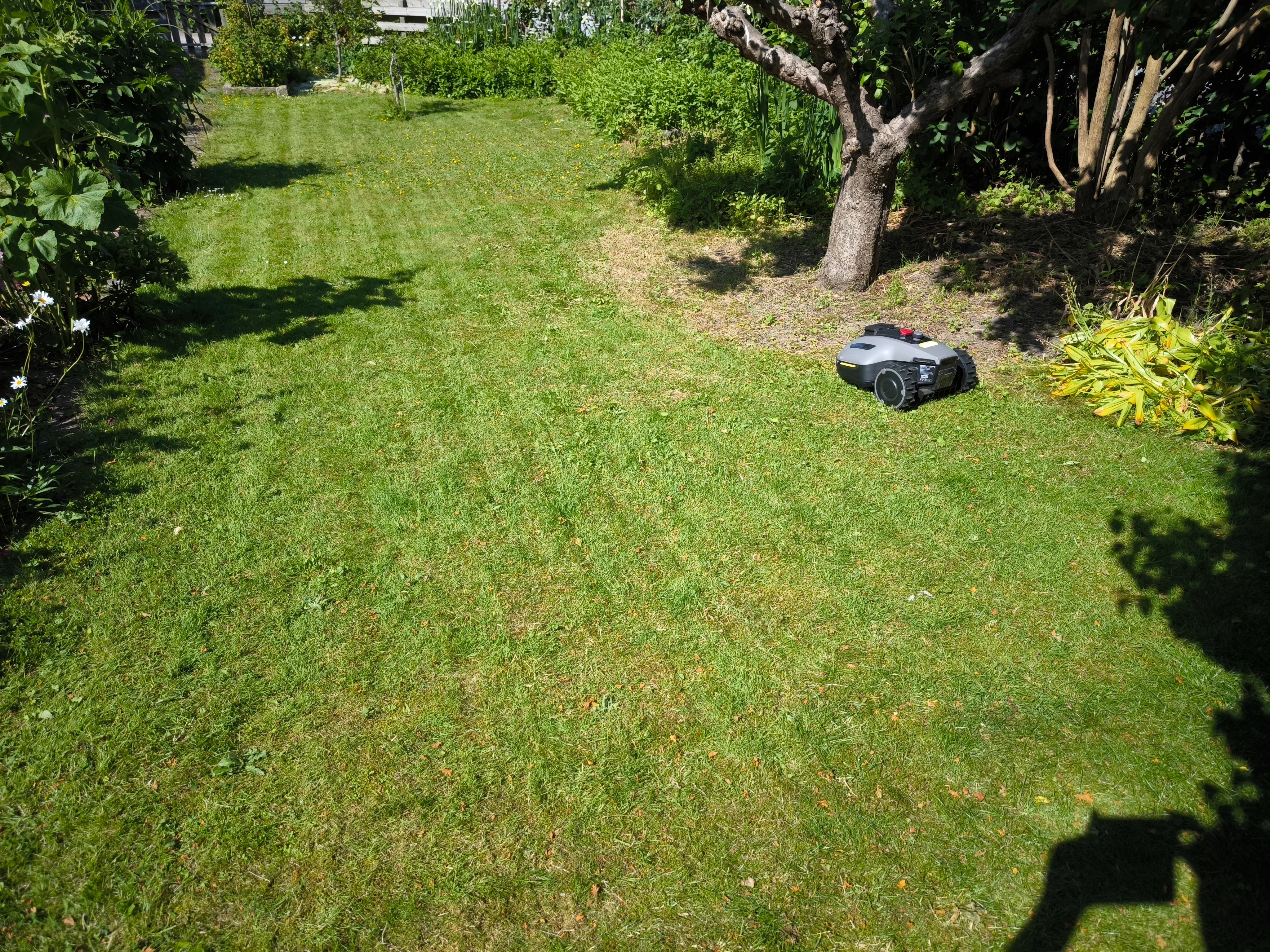IMG_20250620_161437.webp