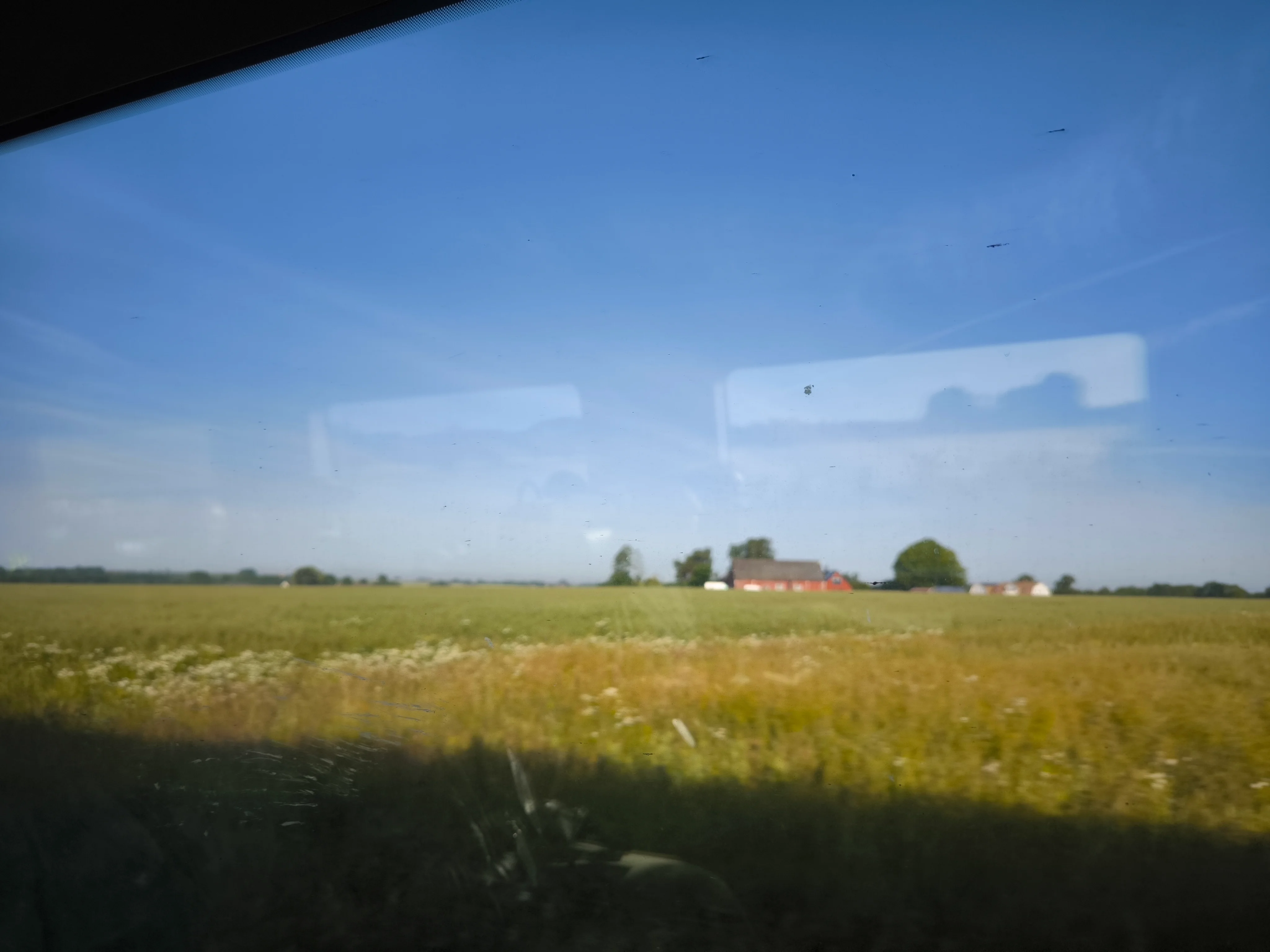 IMG_20250626_072248.webp
