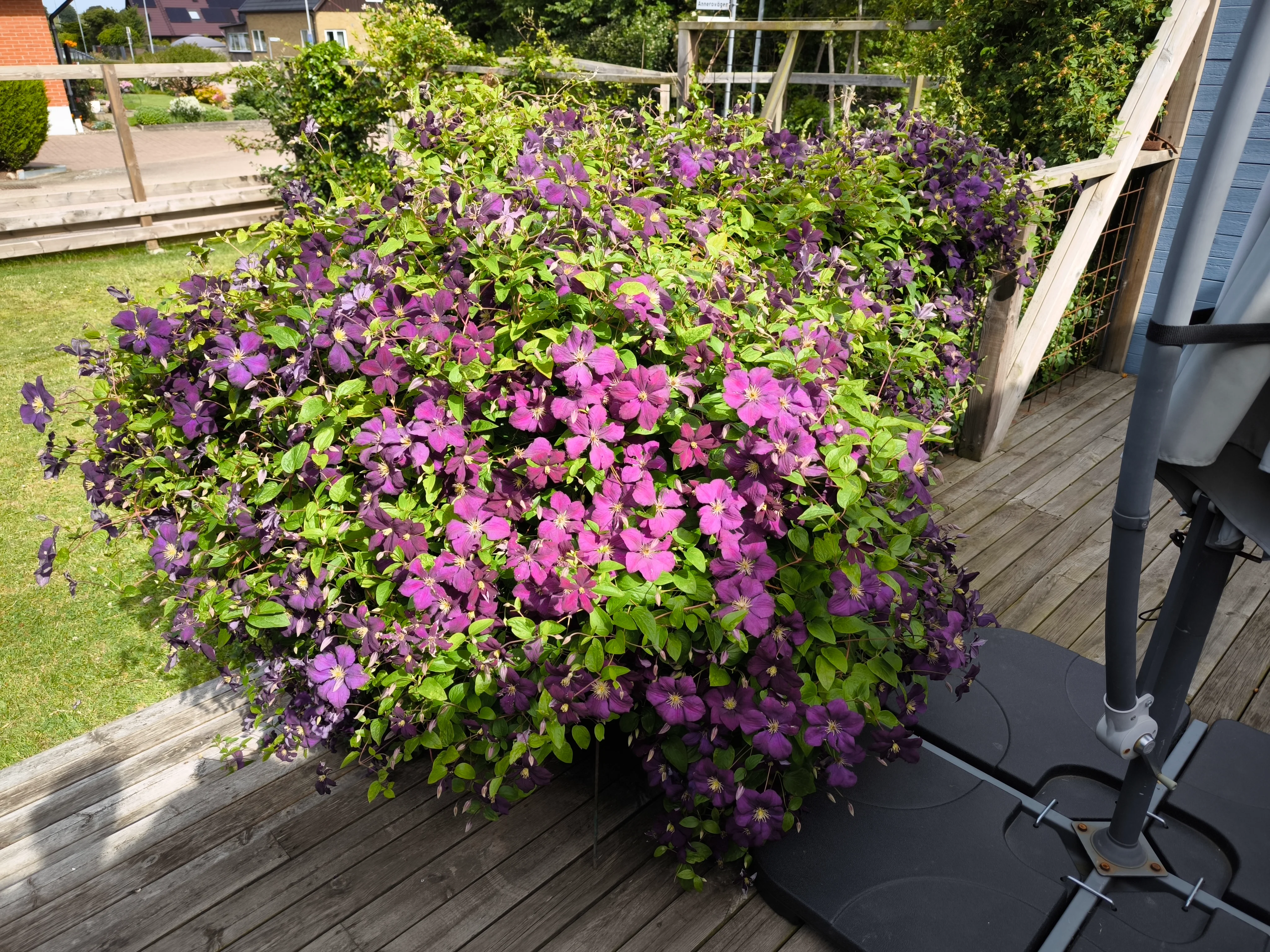 IMG_20250630_093911.webp