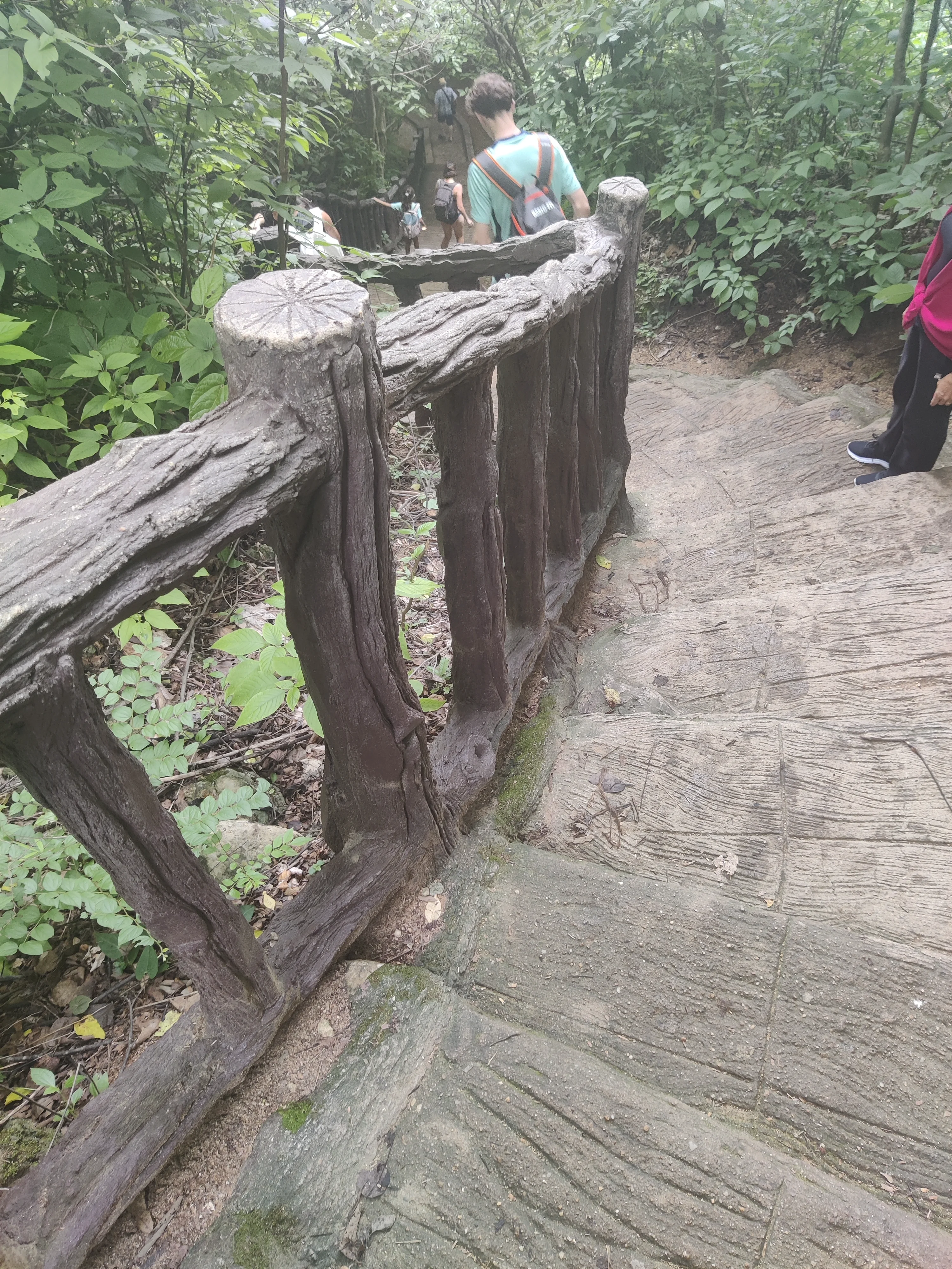 IMG_20250710_123534.webp