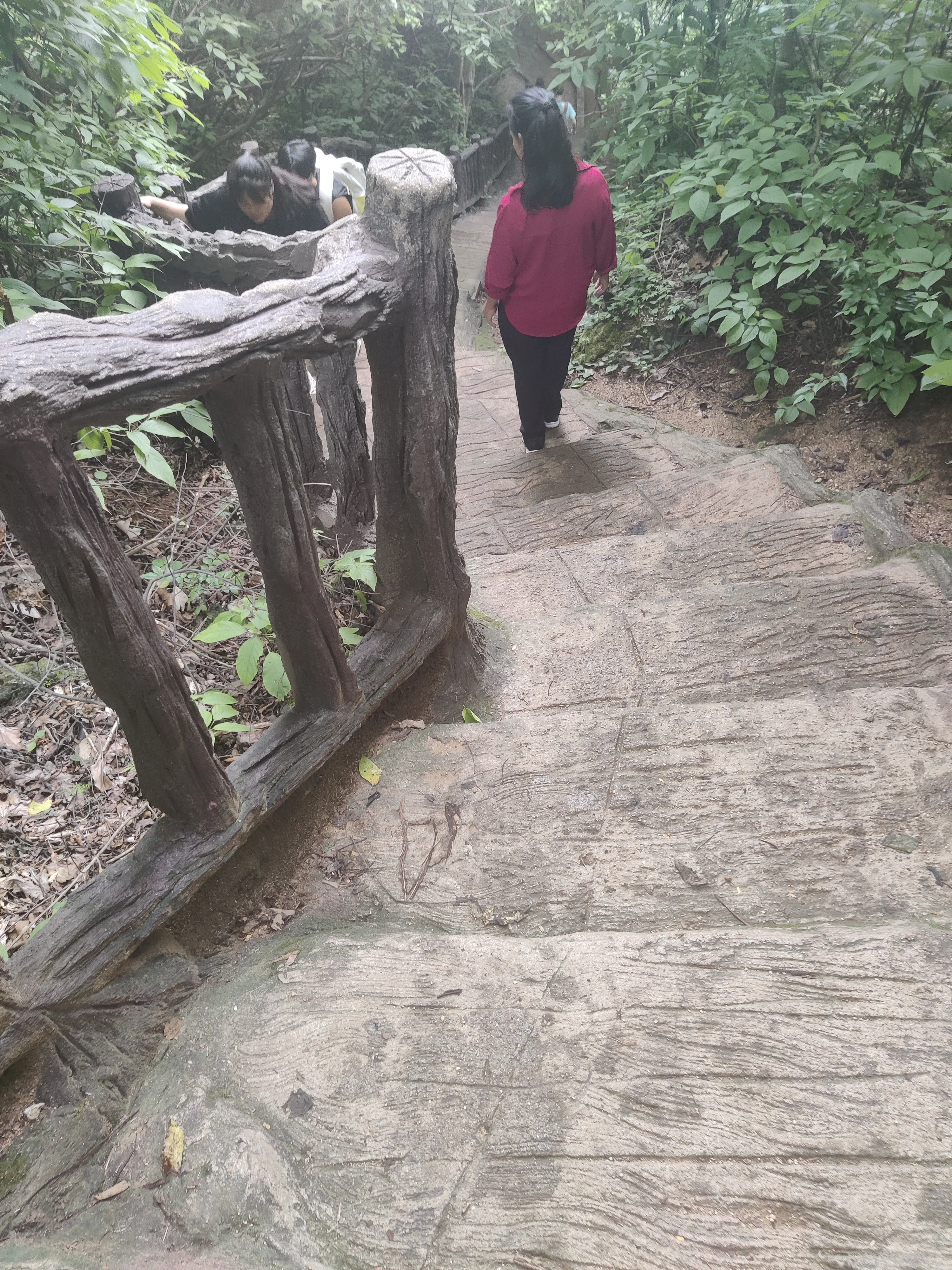 IMG_20250710_123548.webp