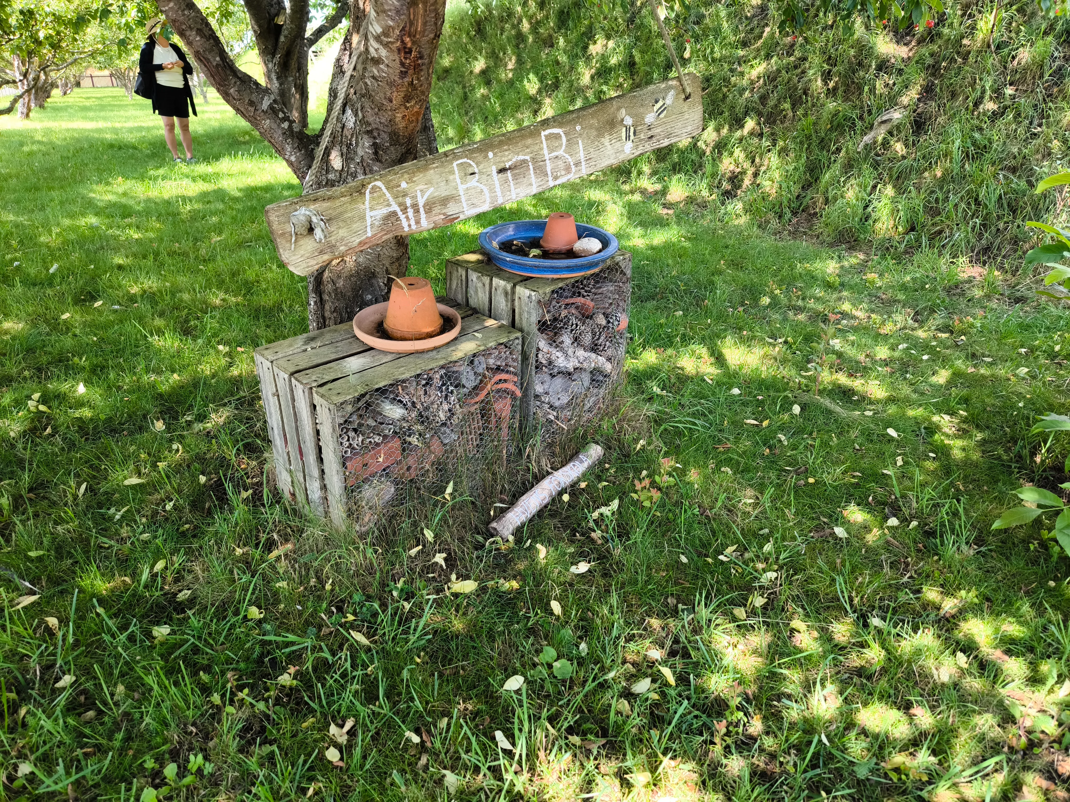 IMG_20250718_142537.webp