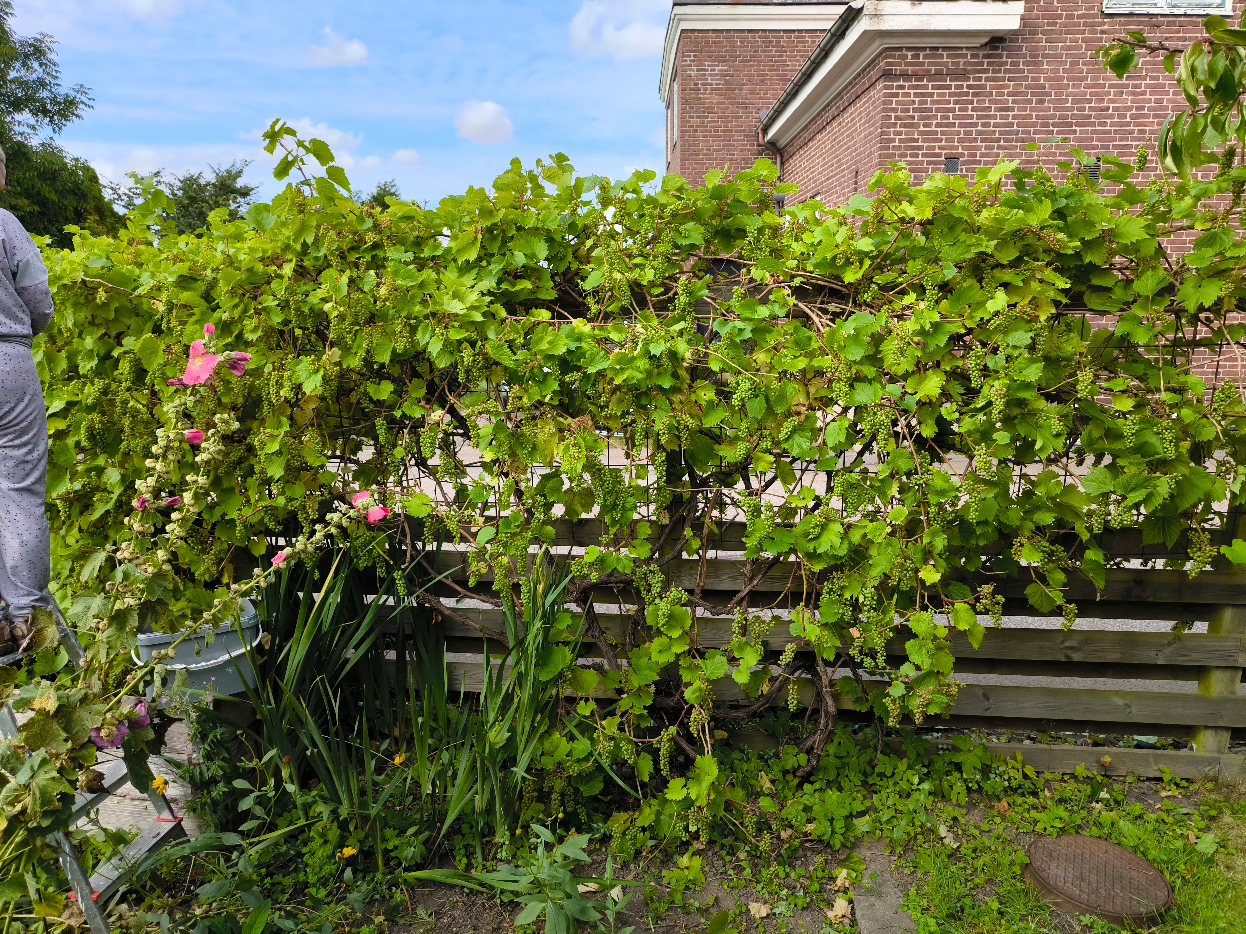 IMG_20250811_154021.webp