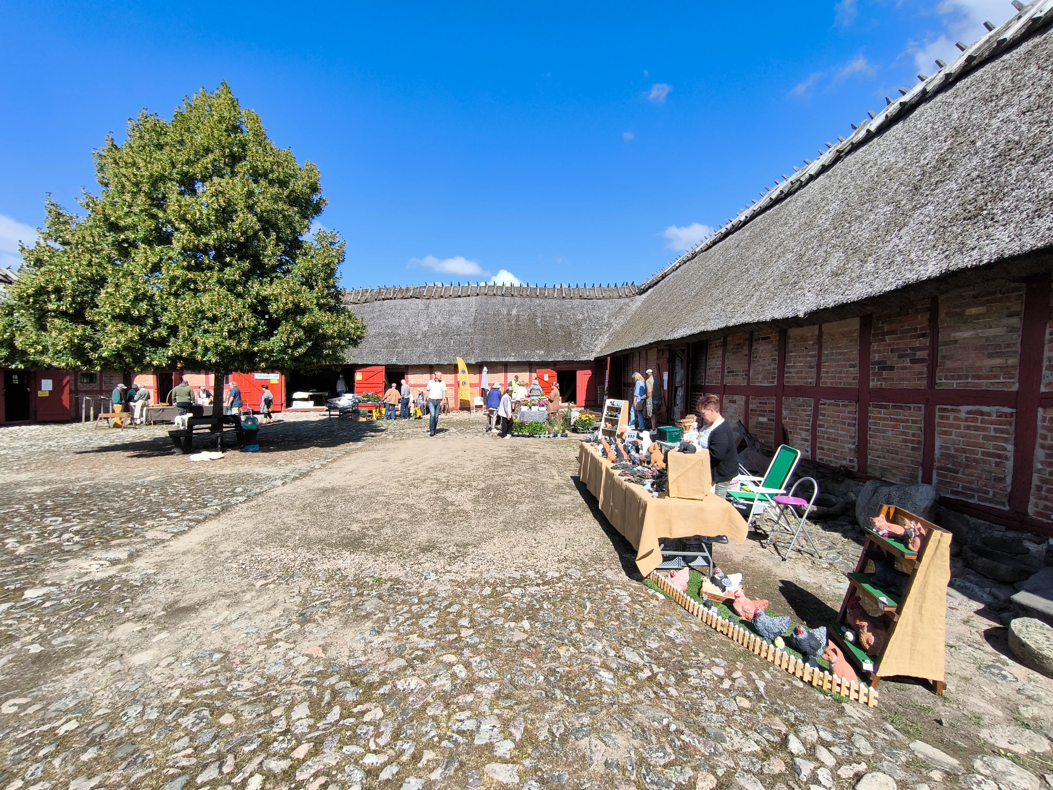IMG_20250824_122942.webp
