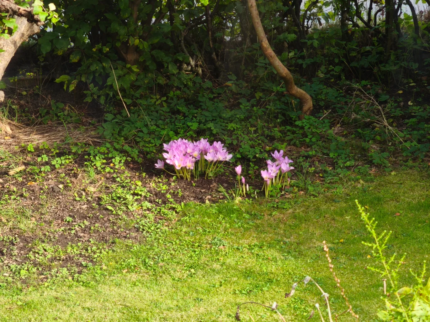 IMG_20250919_162721.webp