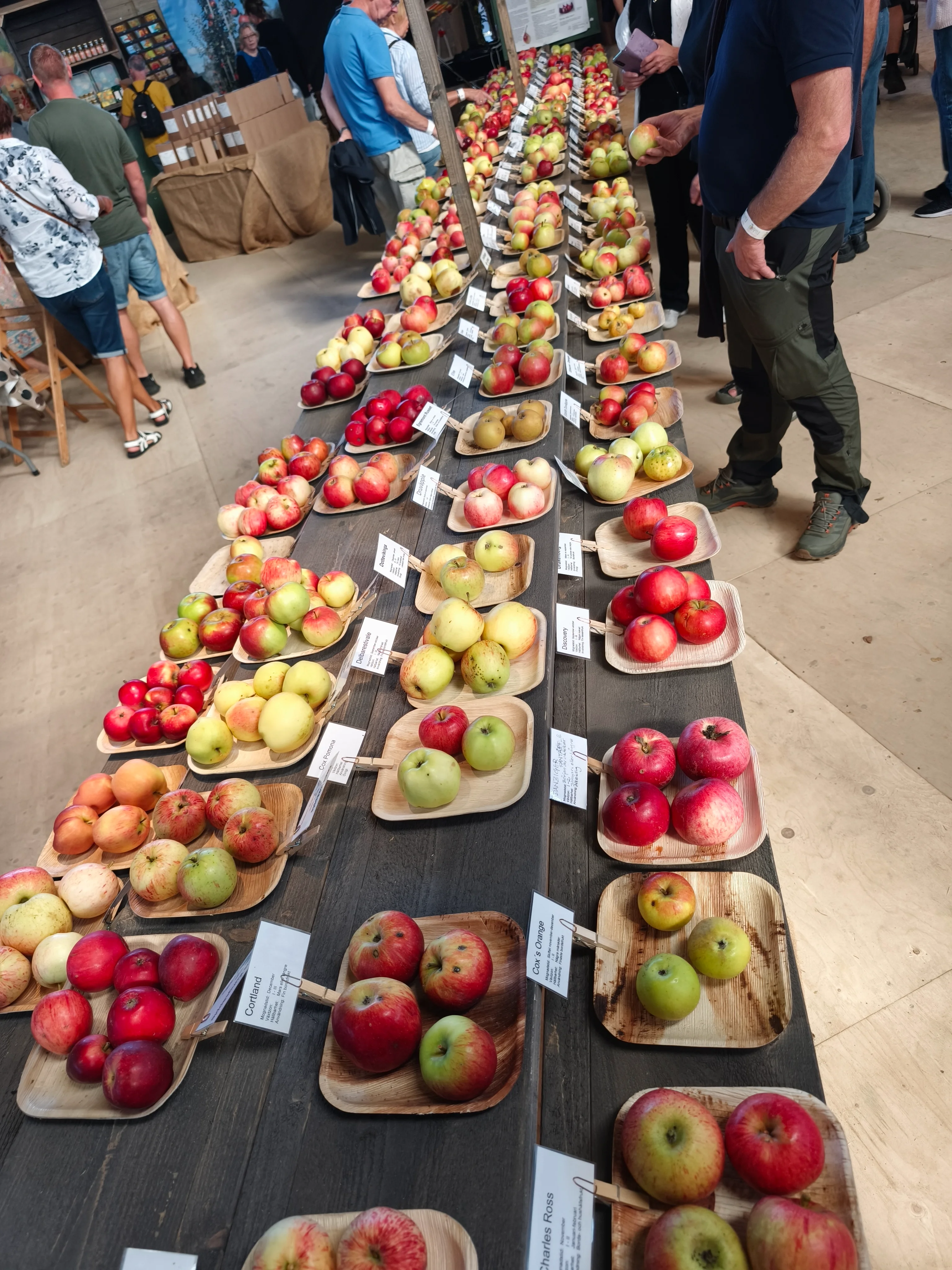 IMG_20250920_121701.webp
