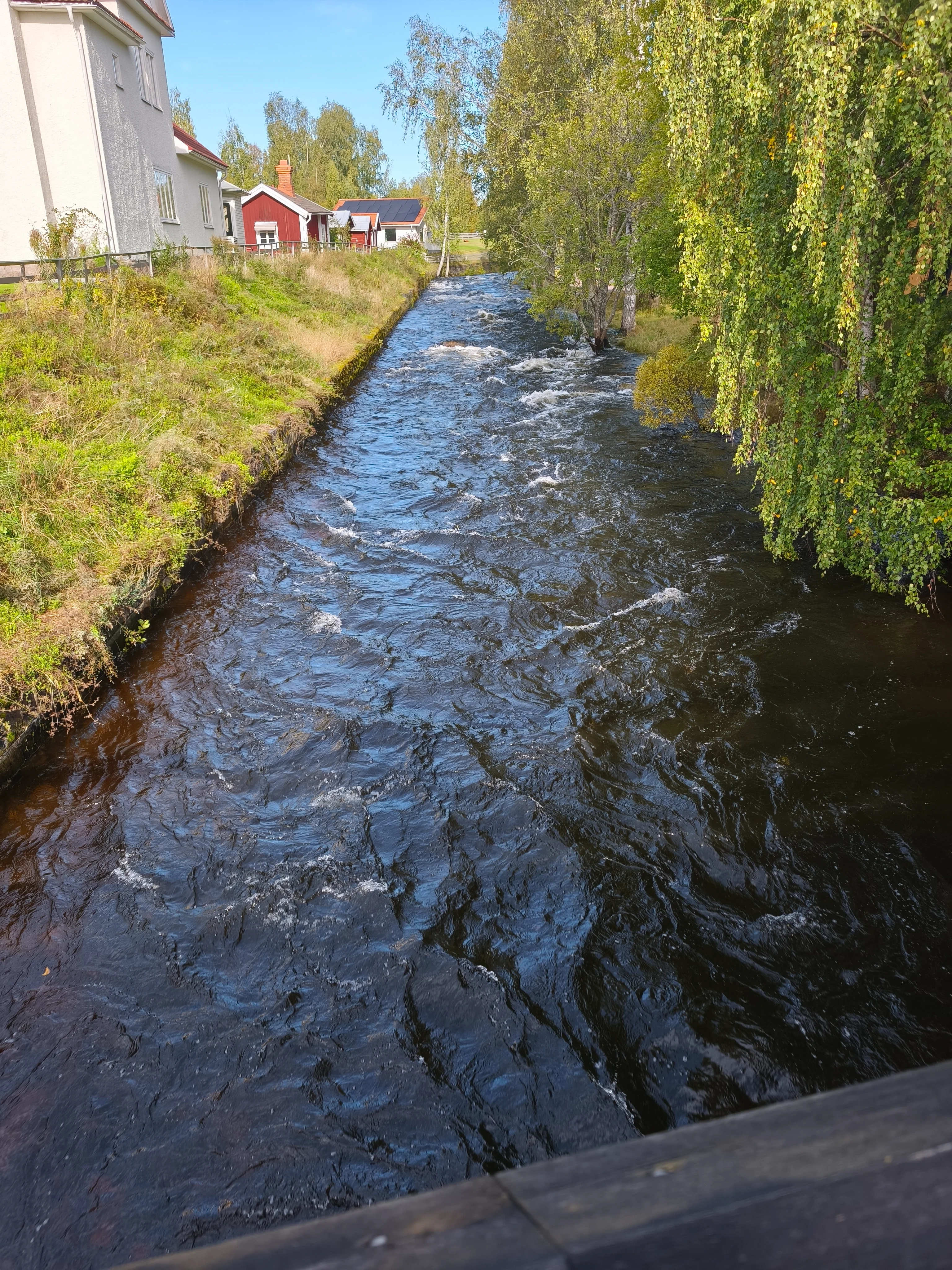 IMG_20250922_113728.webp