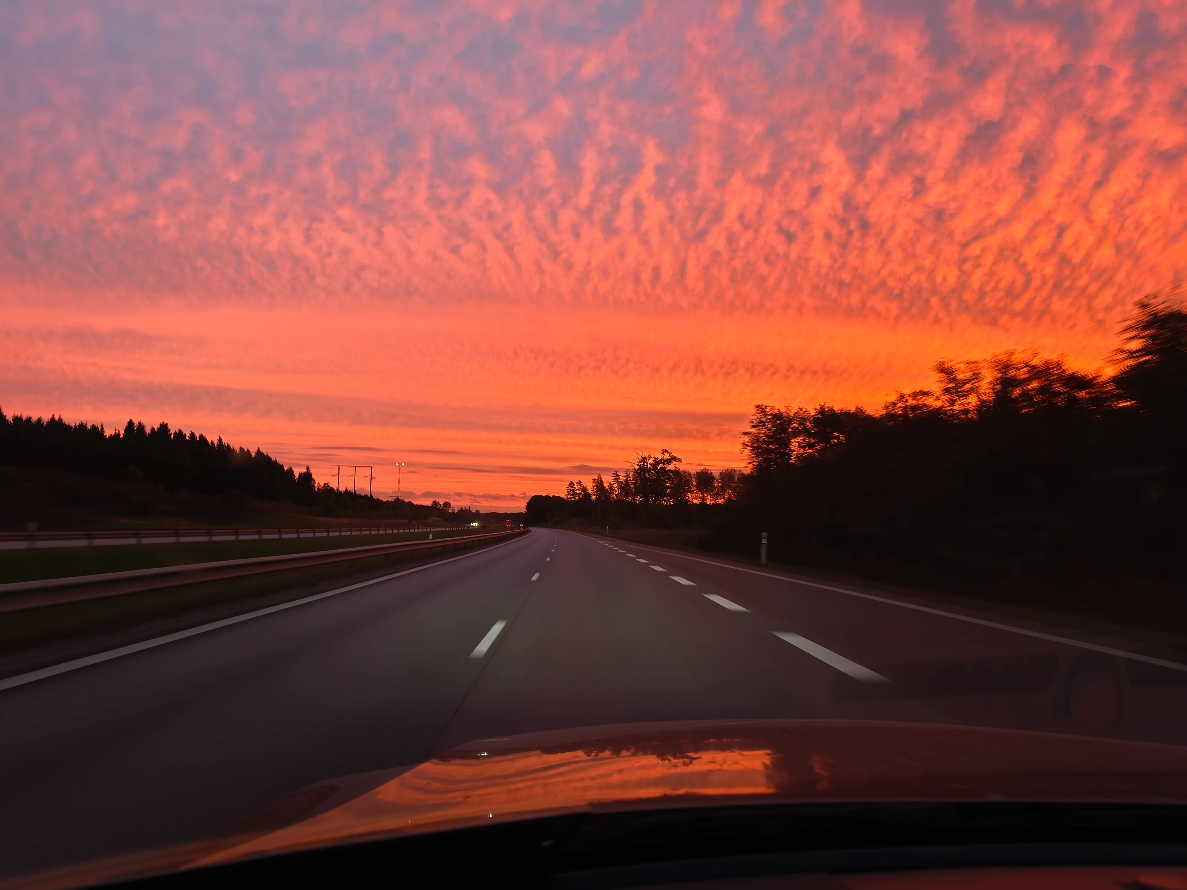 IMG_20251004_070031.webp