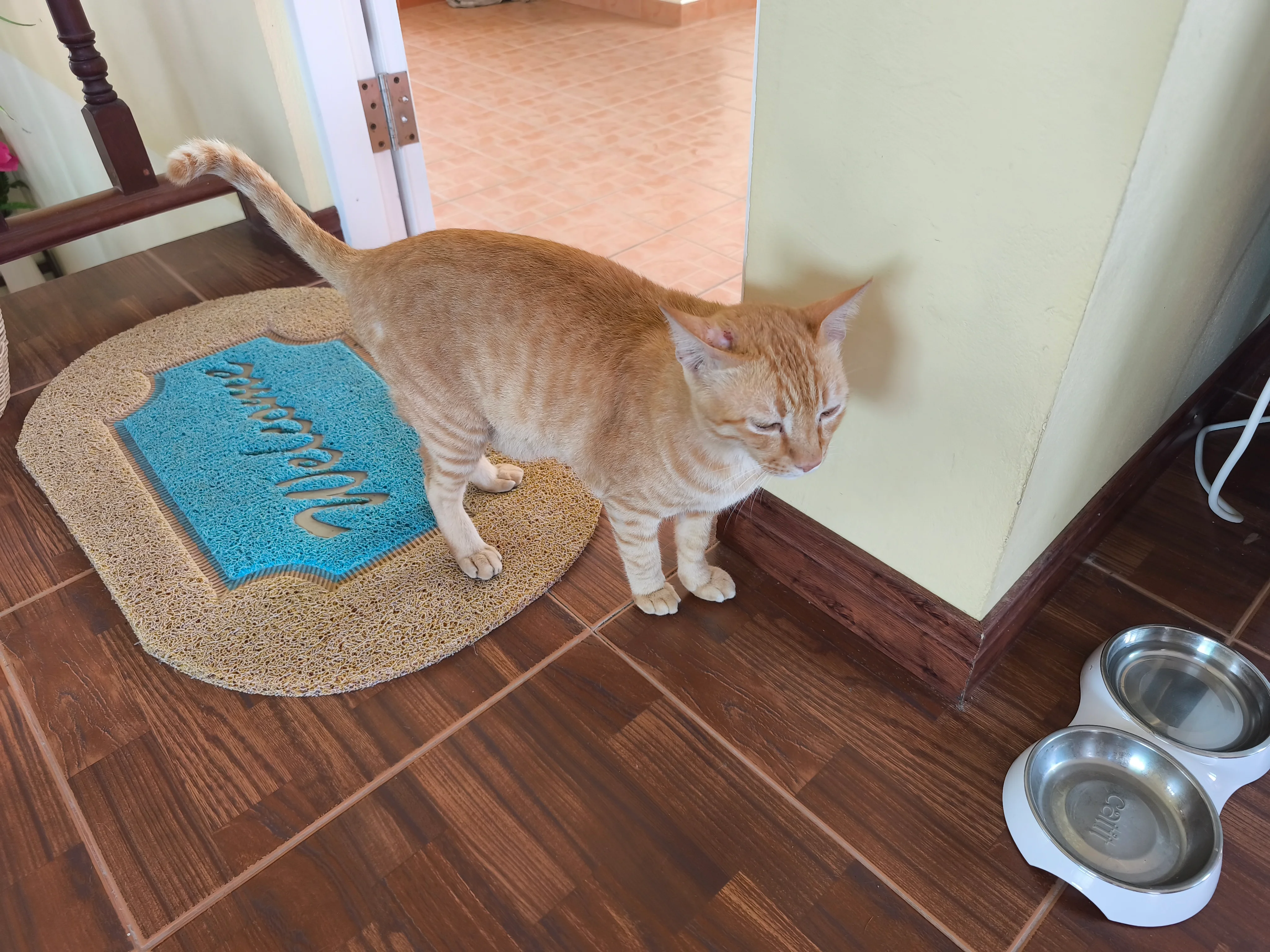 IMG_20251021_161919.webp