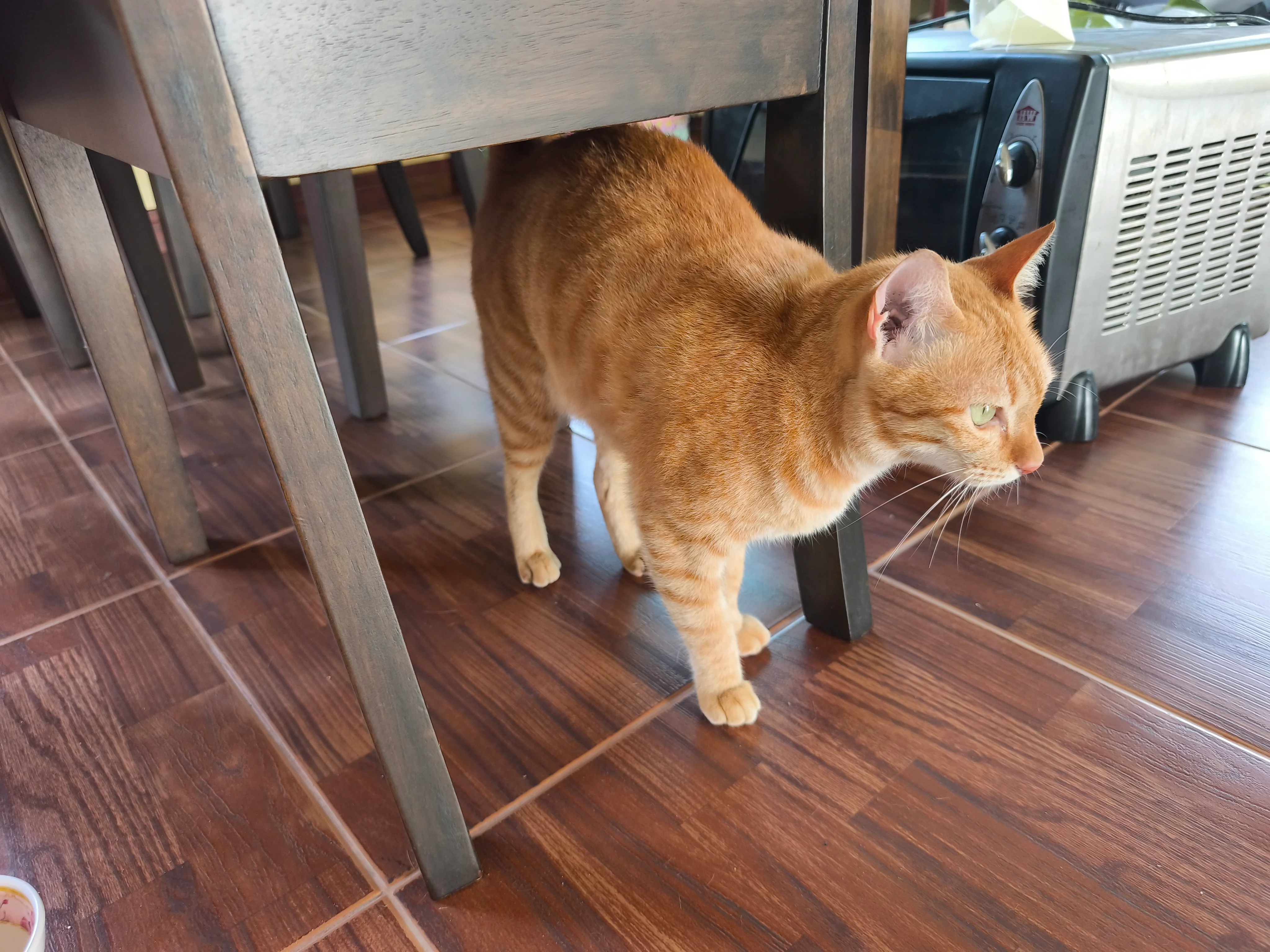 IMG_20251021_162131.webp