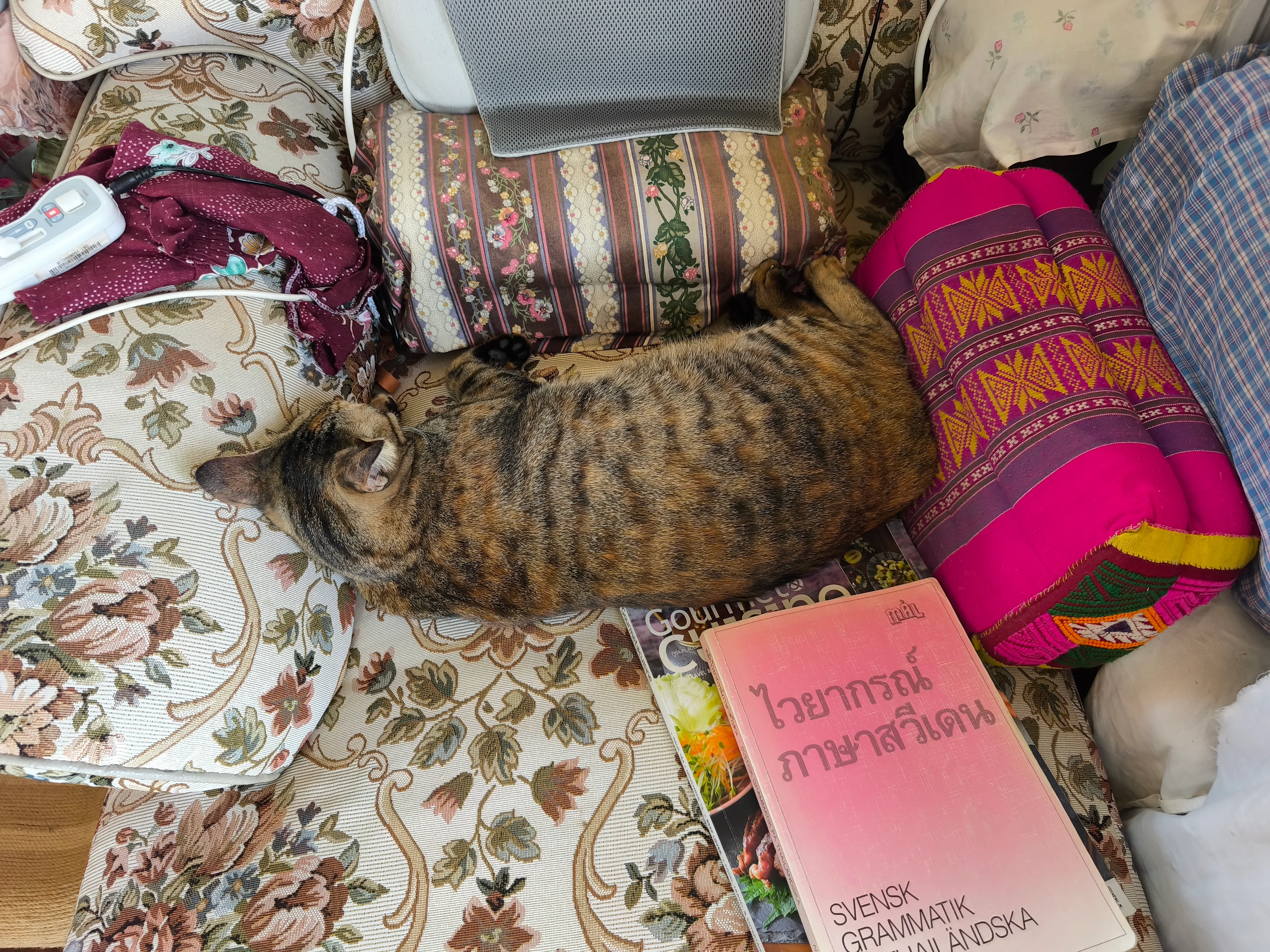 IMG_20260102_140019.webp