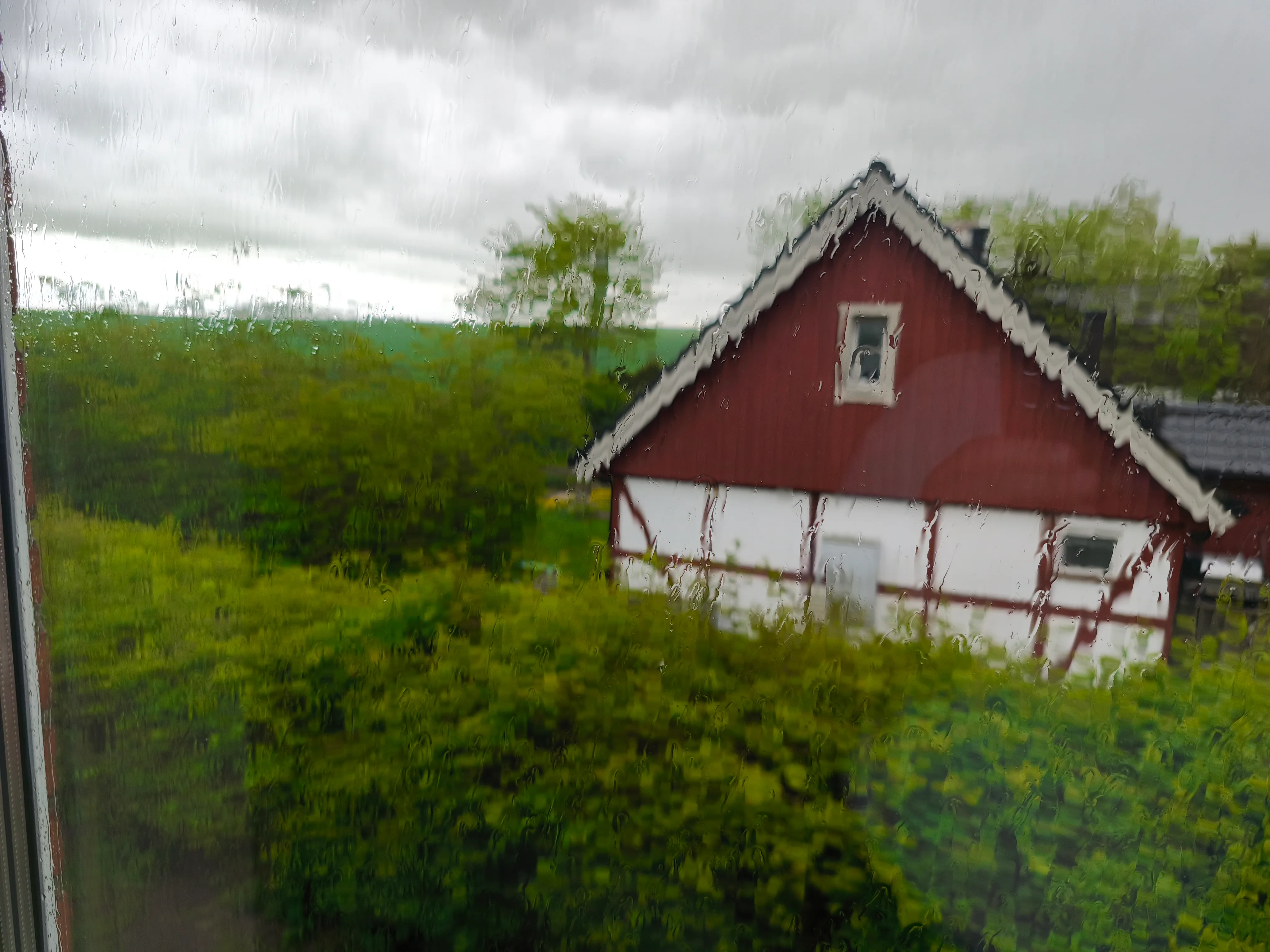 IMG_20260516_101135.webp
