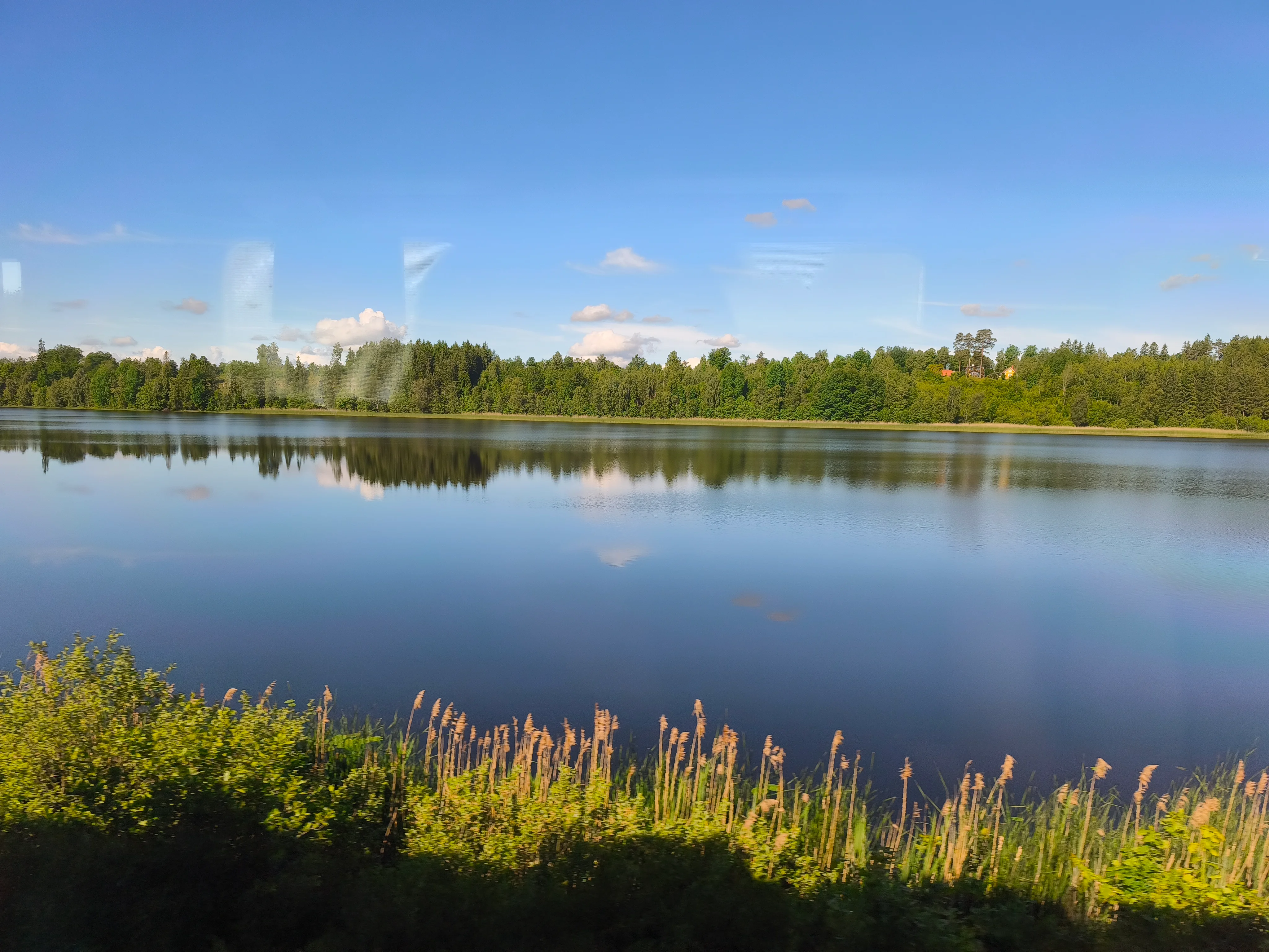 IMG_20260612_085327.webp