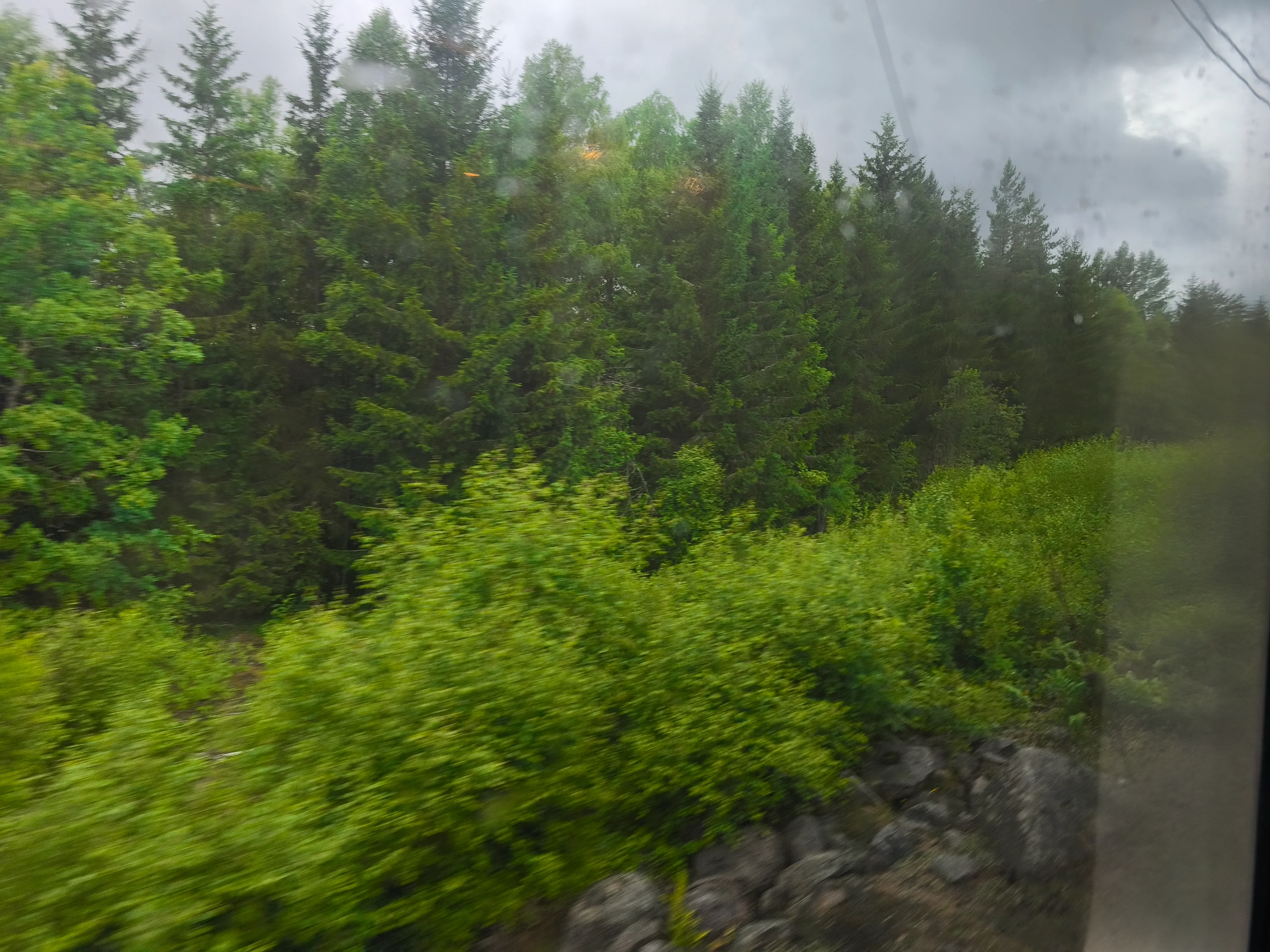 IMG_20260703_144622.webp