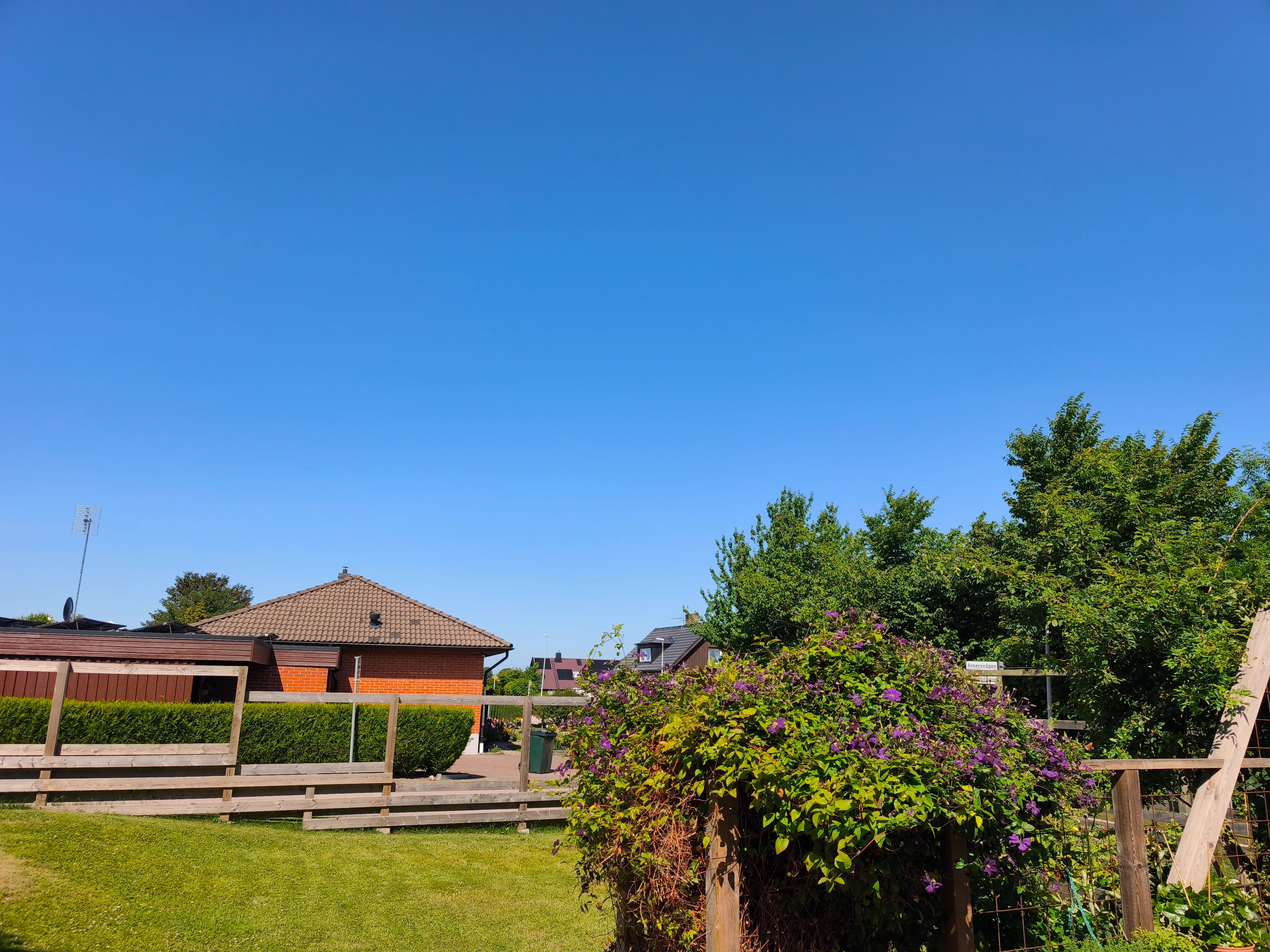 IMG_20260709_104605.webp