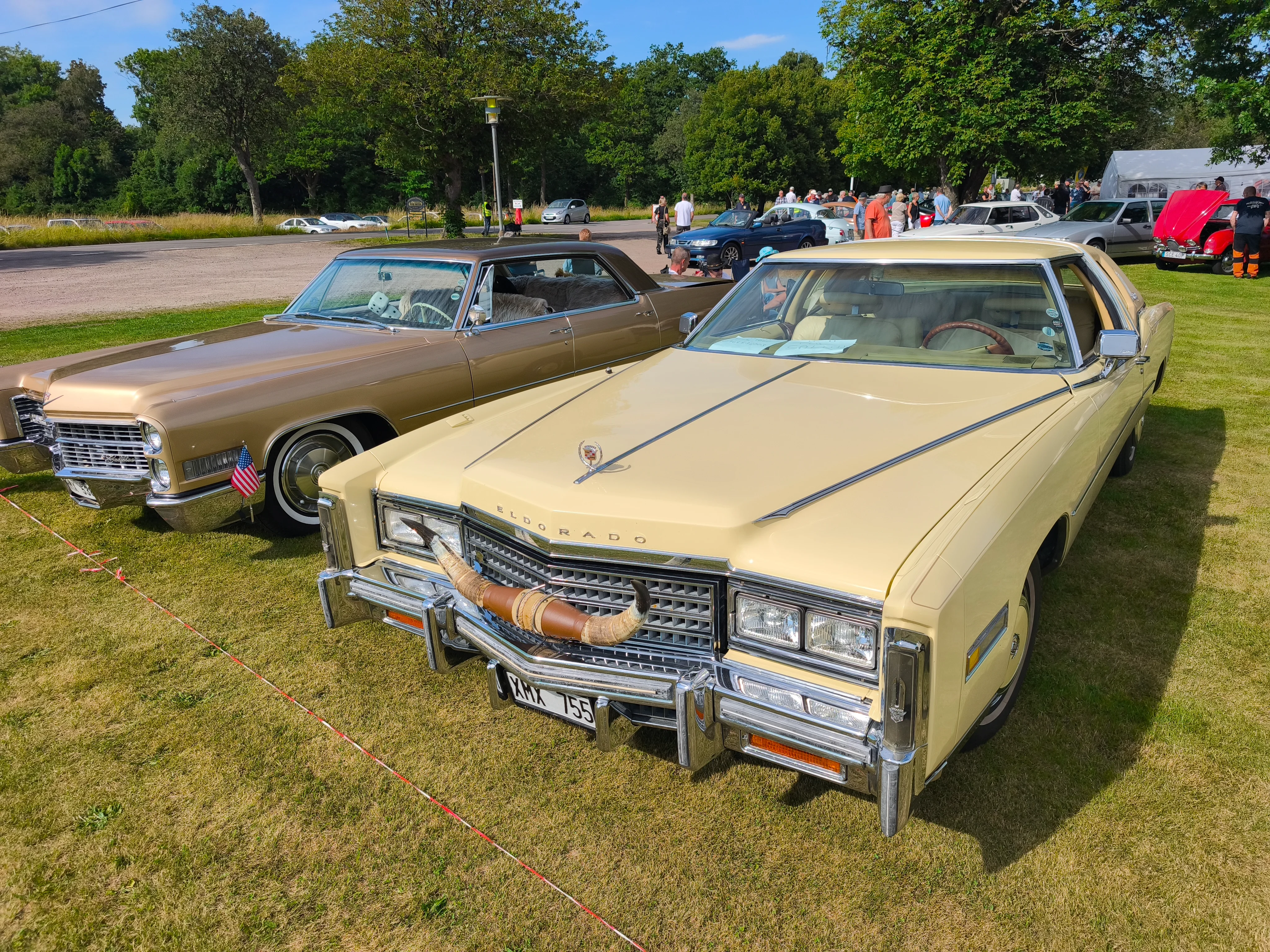 IMG_20260709_165312.webp