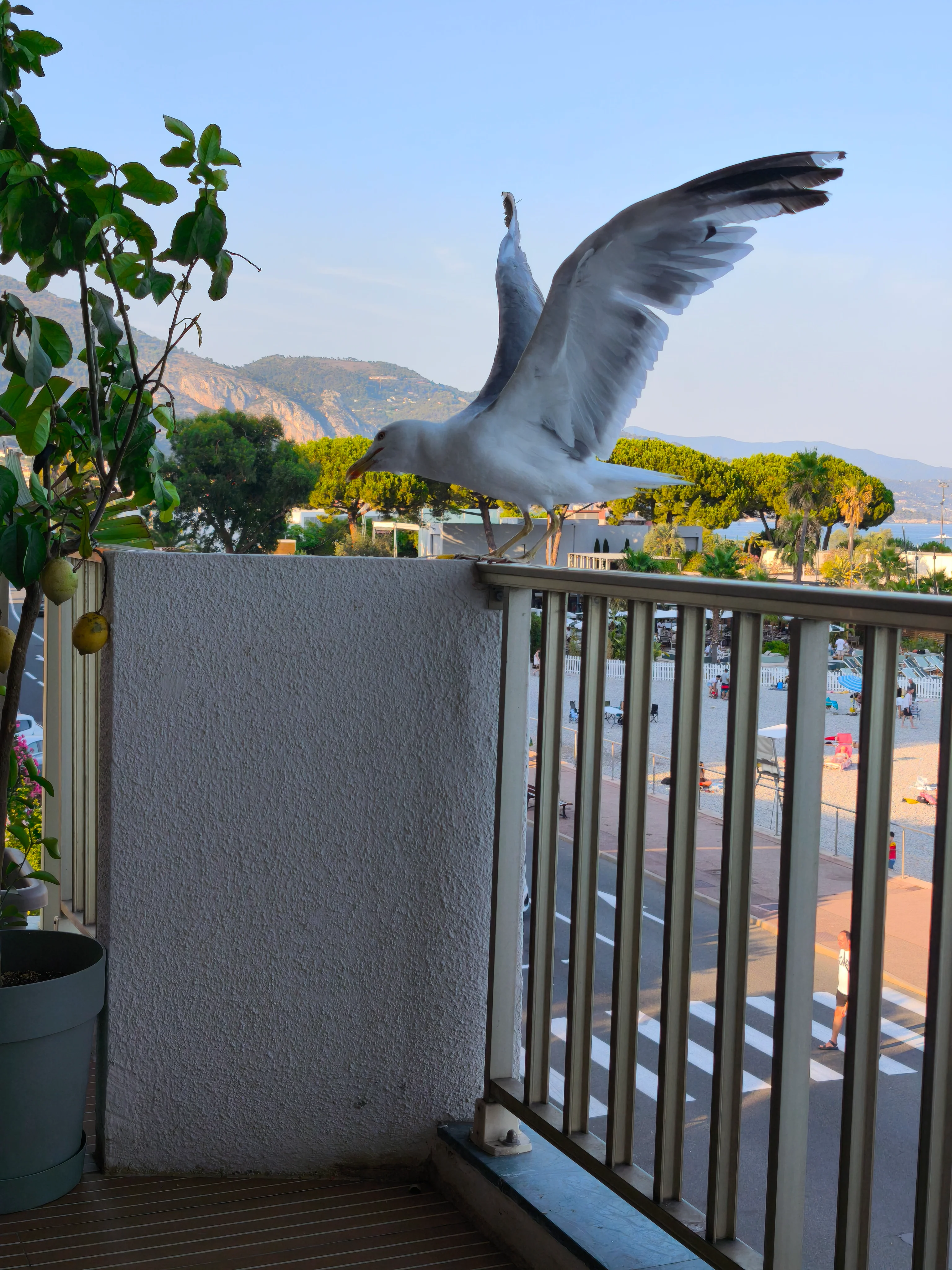 IMG_20260724_192815.webp