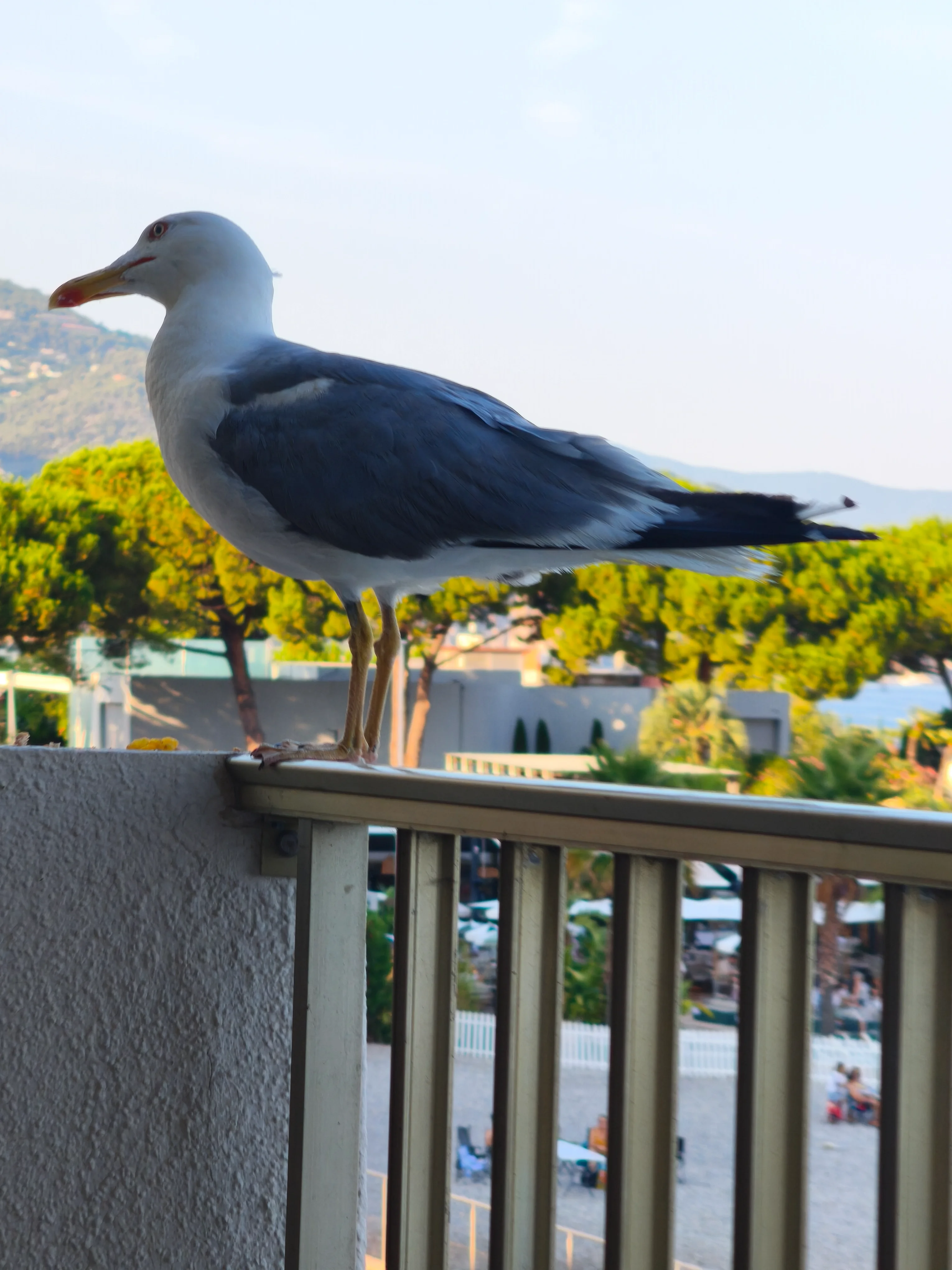 IMG_20260724_192830.webp