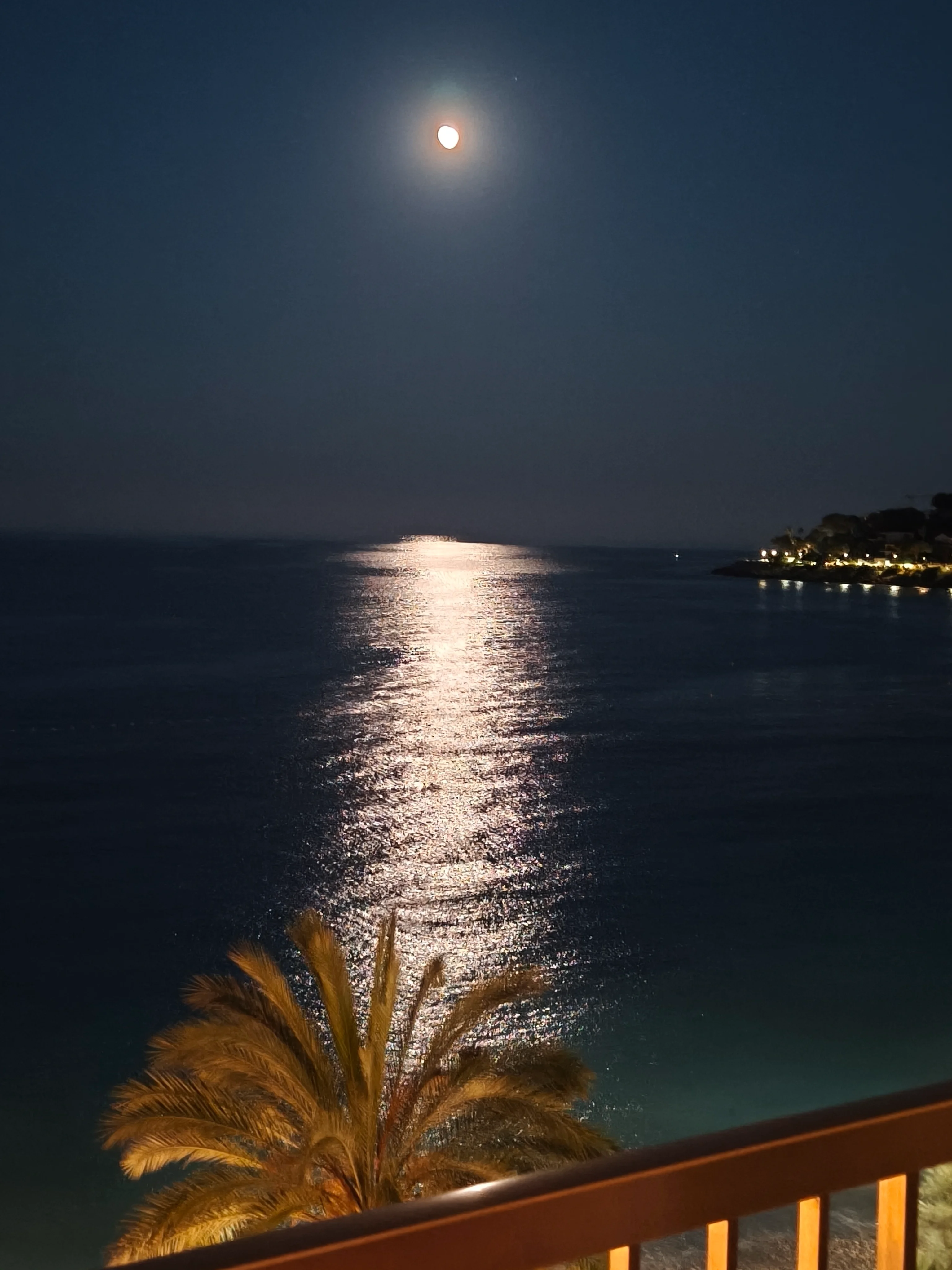 IMG_20260727_215958.webp
