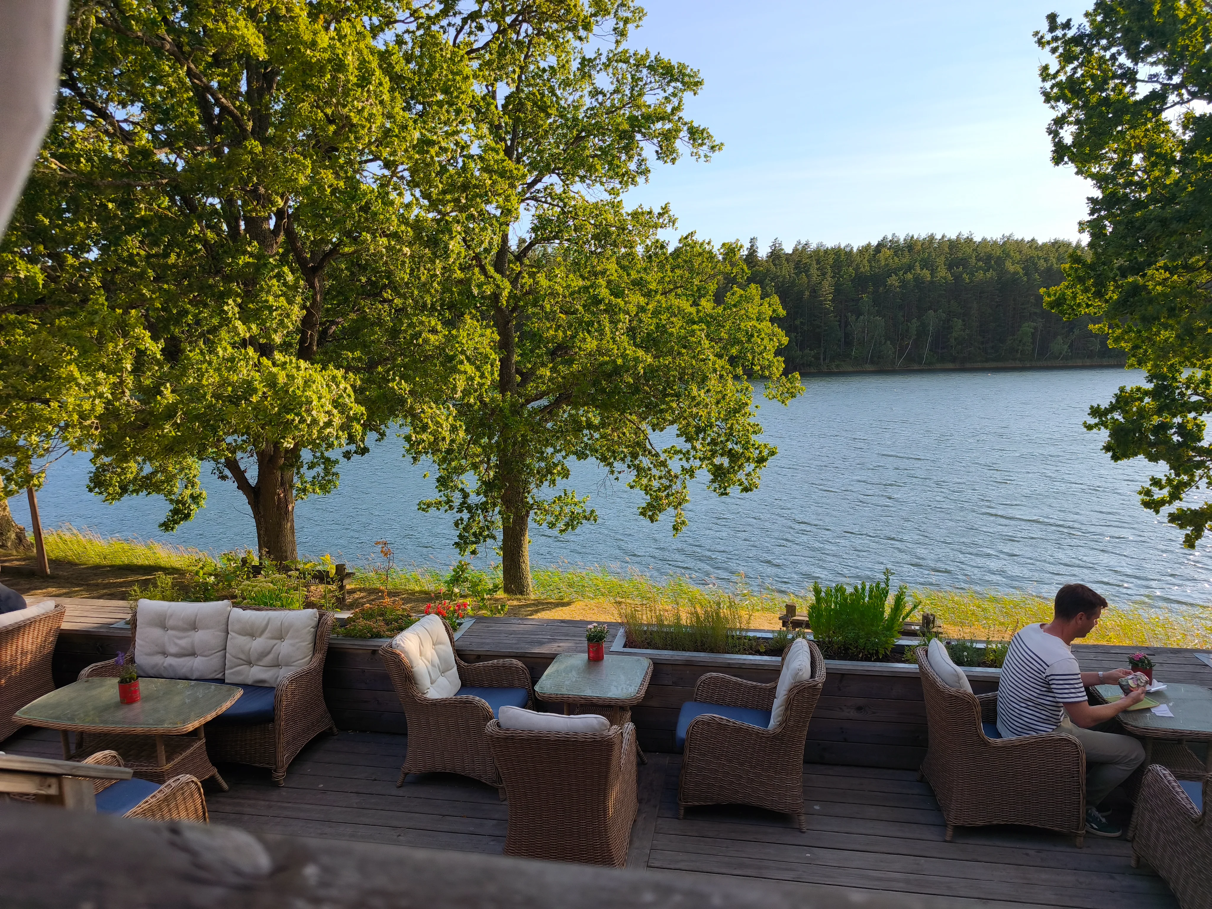 IMG_20260811_182049.webp