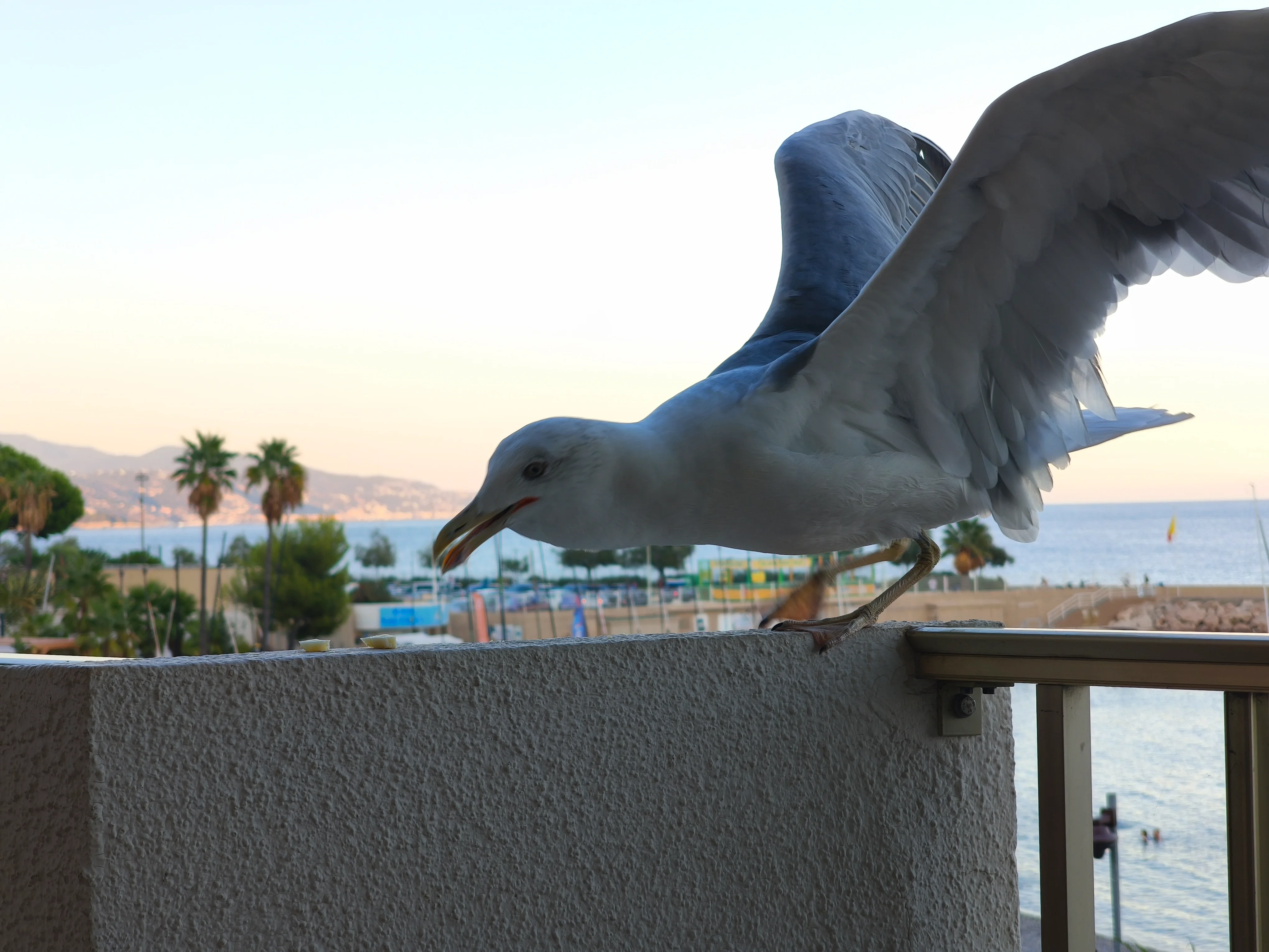 IMG_20260904_192259.webp