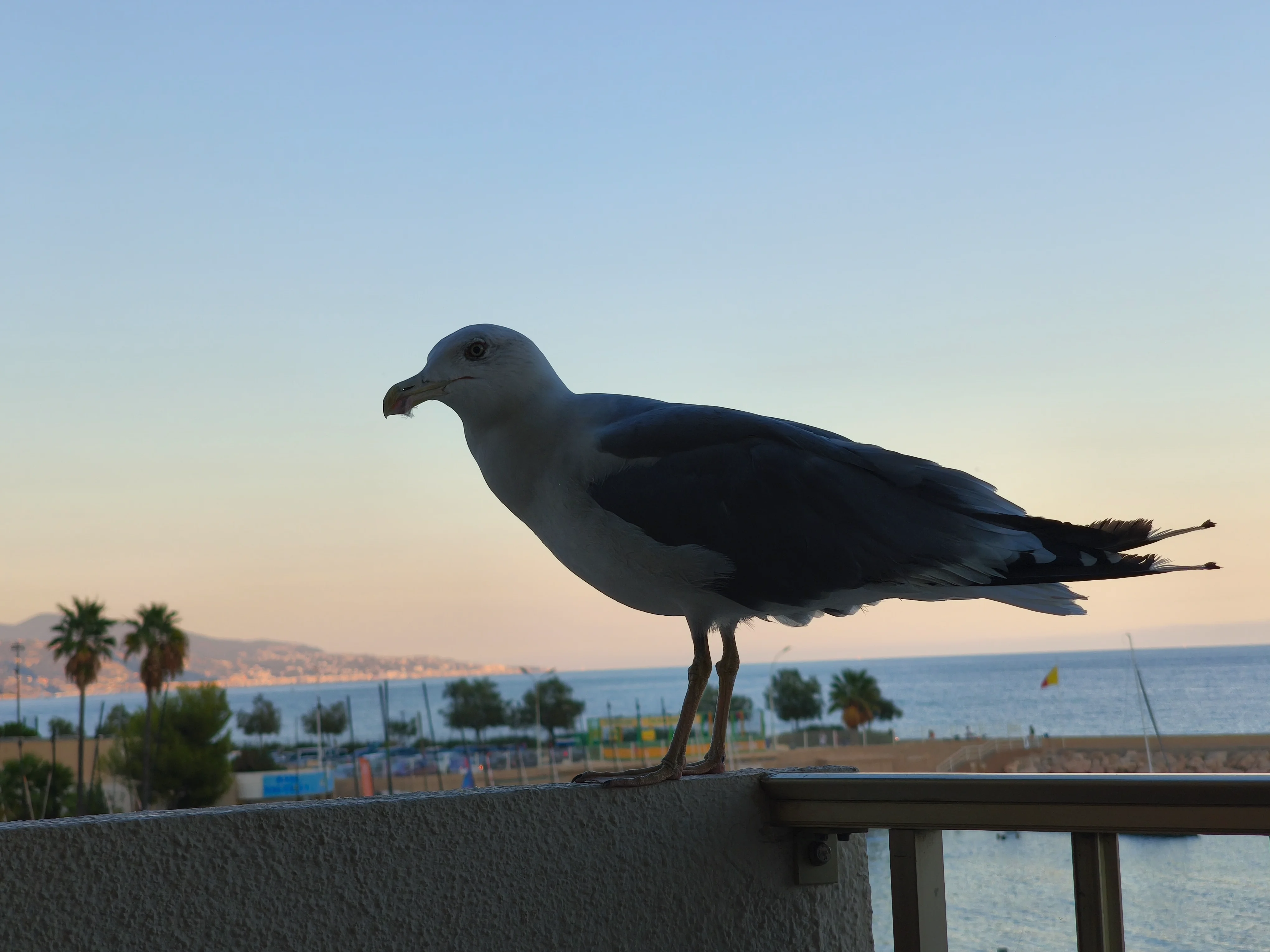 IMG_20260904_192307.webp