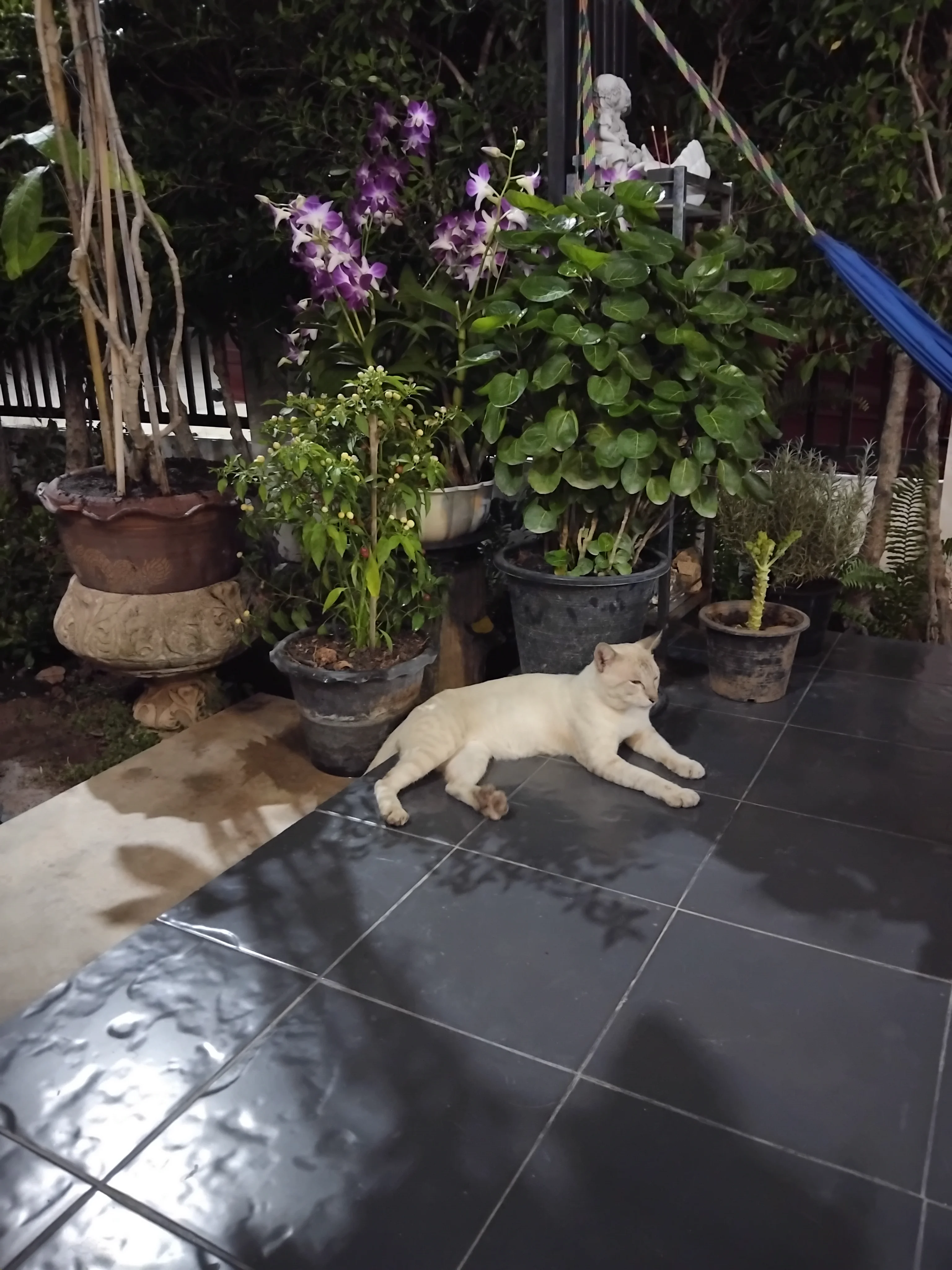 IMG_20260908_195510.webp