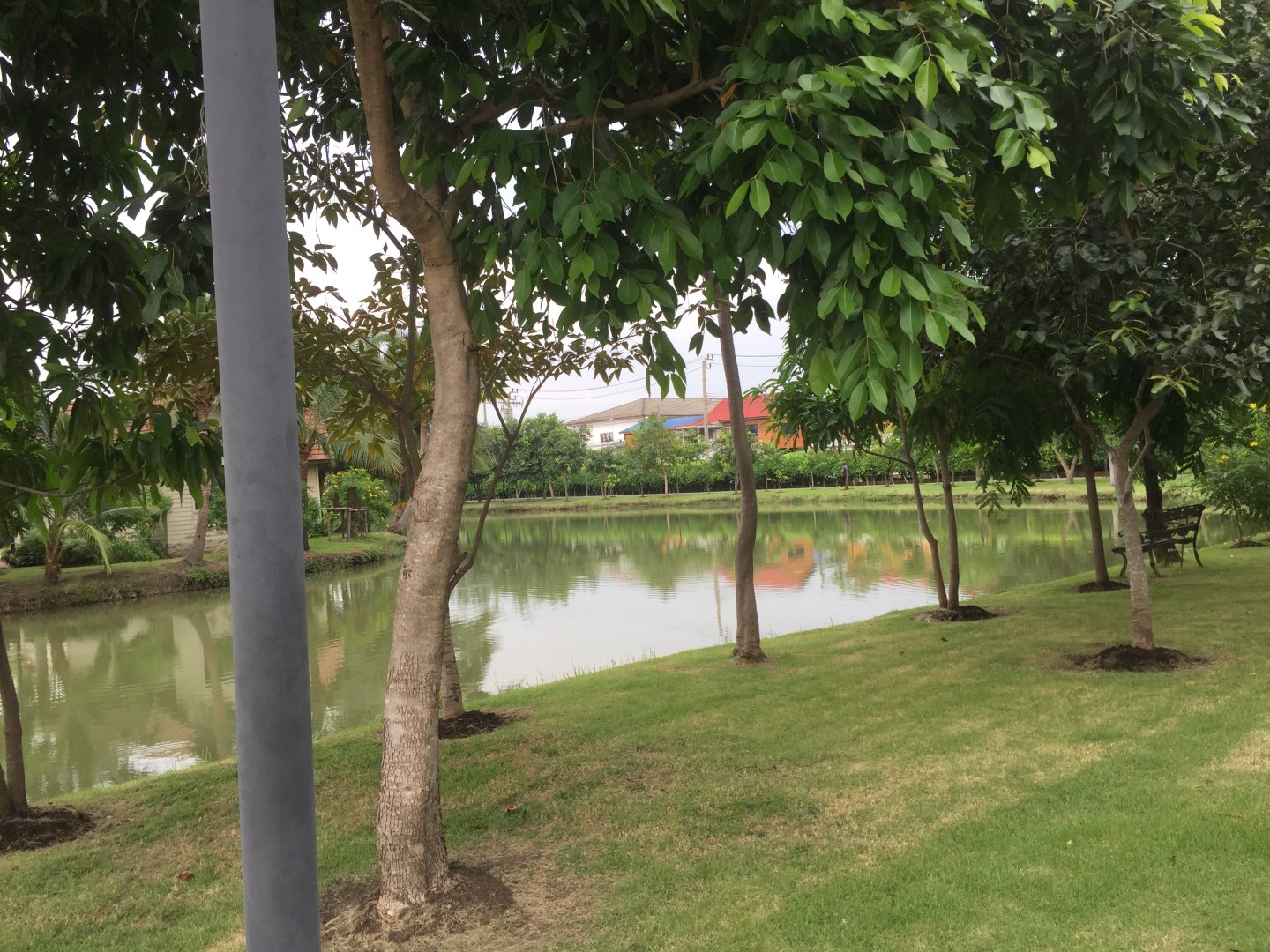 IMG_2238.jpeg