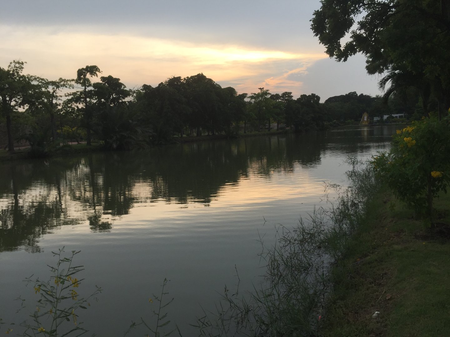 IMG_2245.jpeg