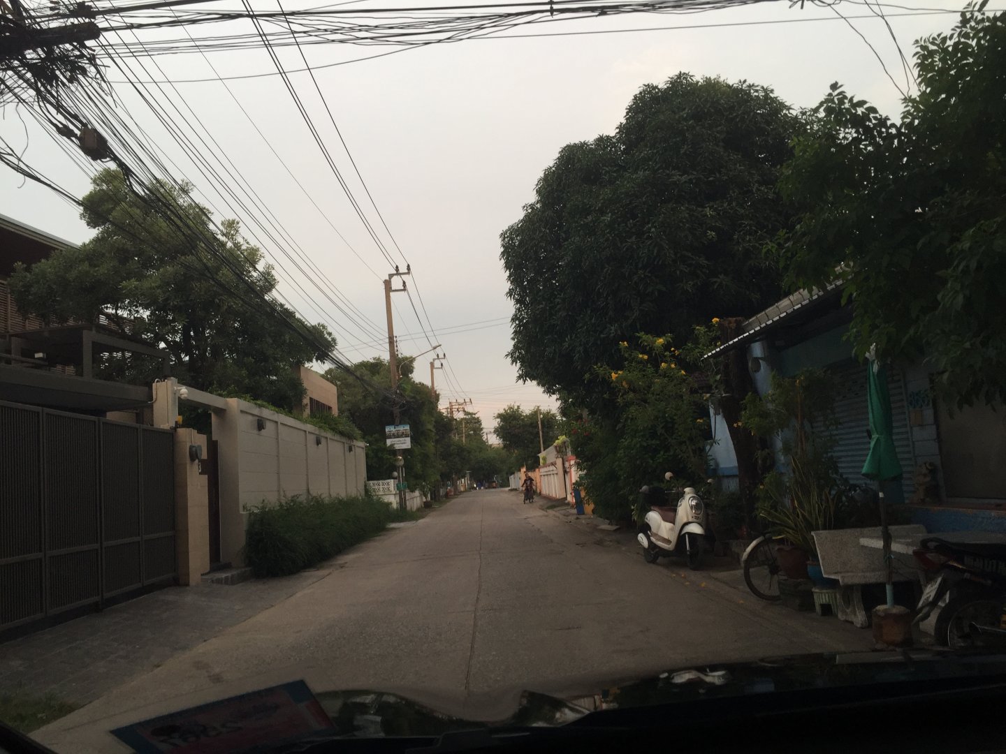 IMG_2246.jpeg